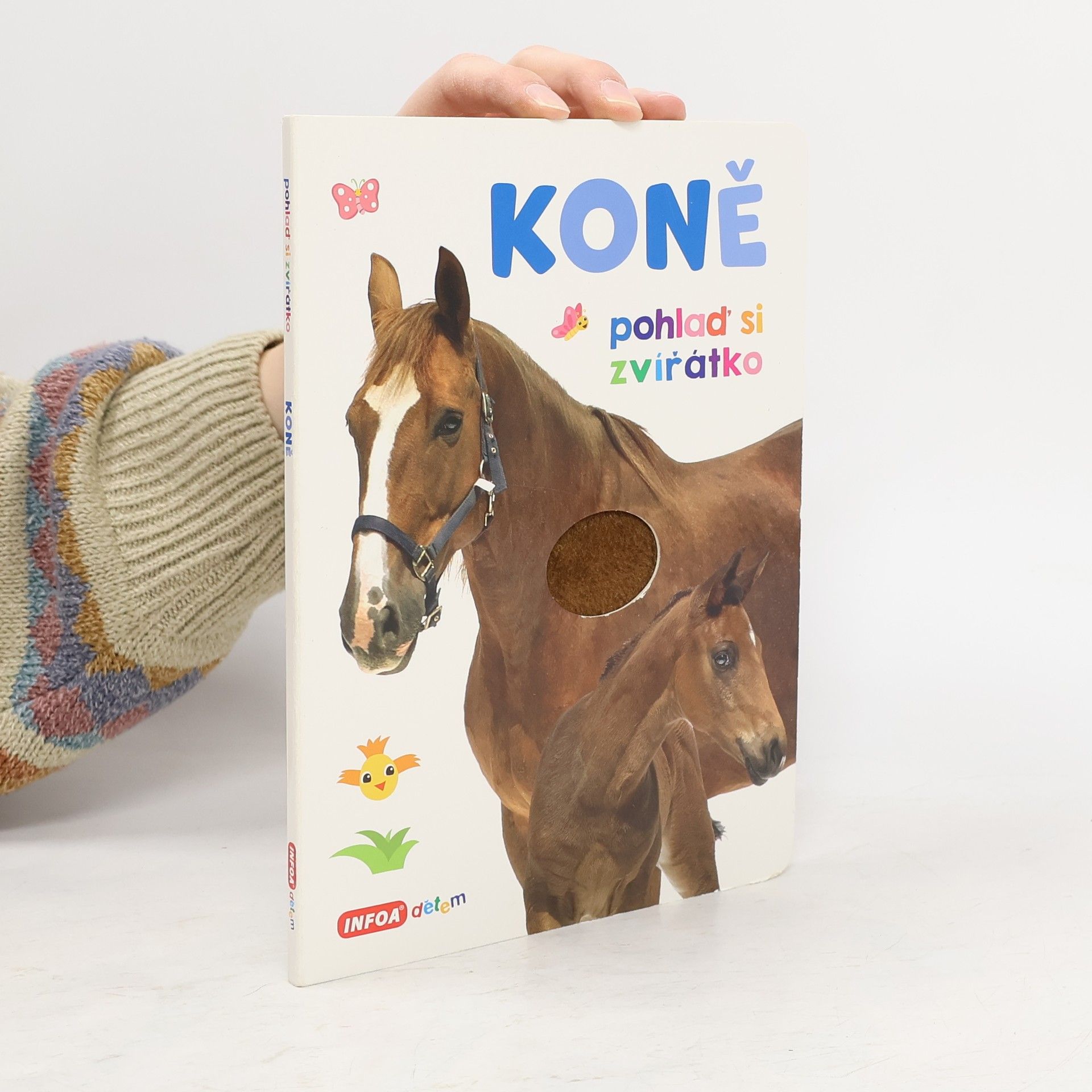 Various authors Koně : pohlaď si zvířátko