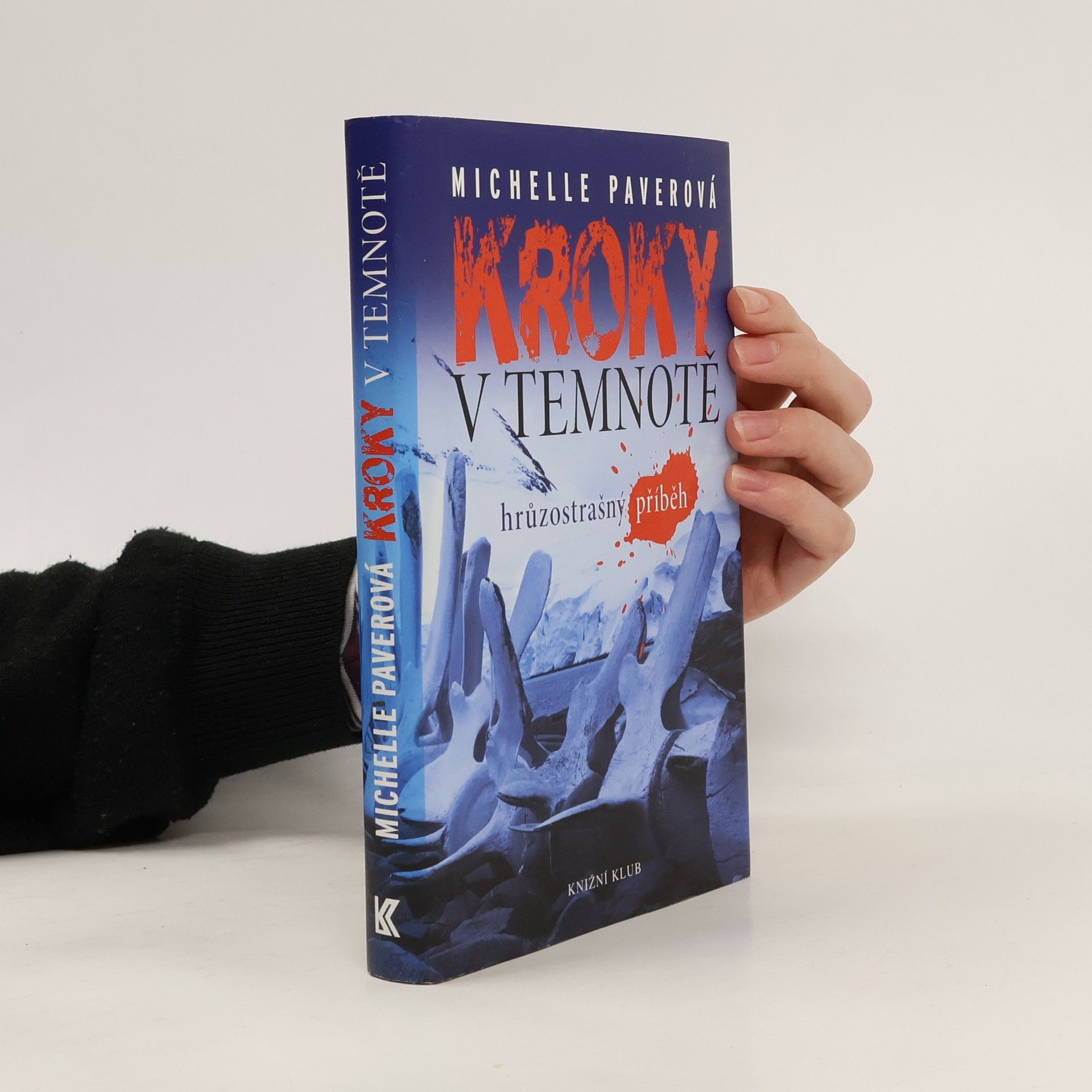 Kroky v temnotě. Hrůzostrašný příběh