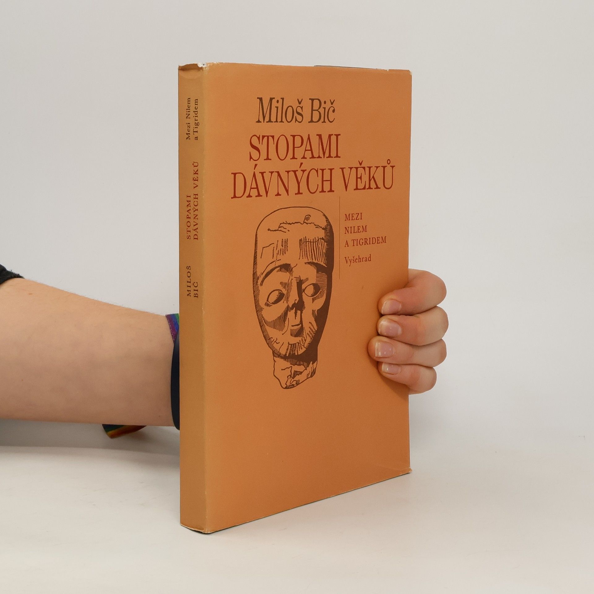 Miloš Bič Stopami dávných věků