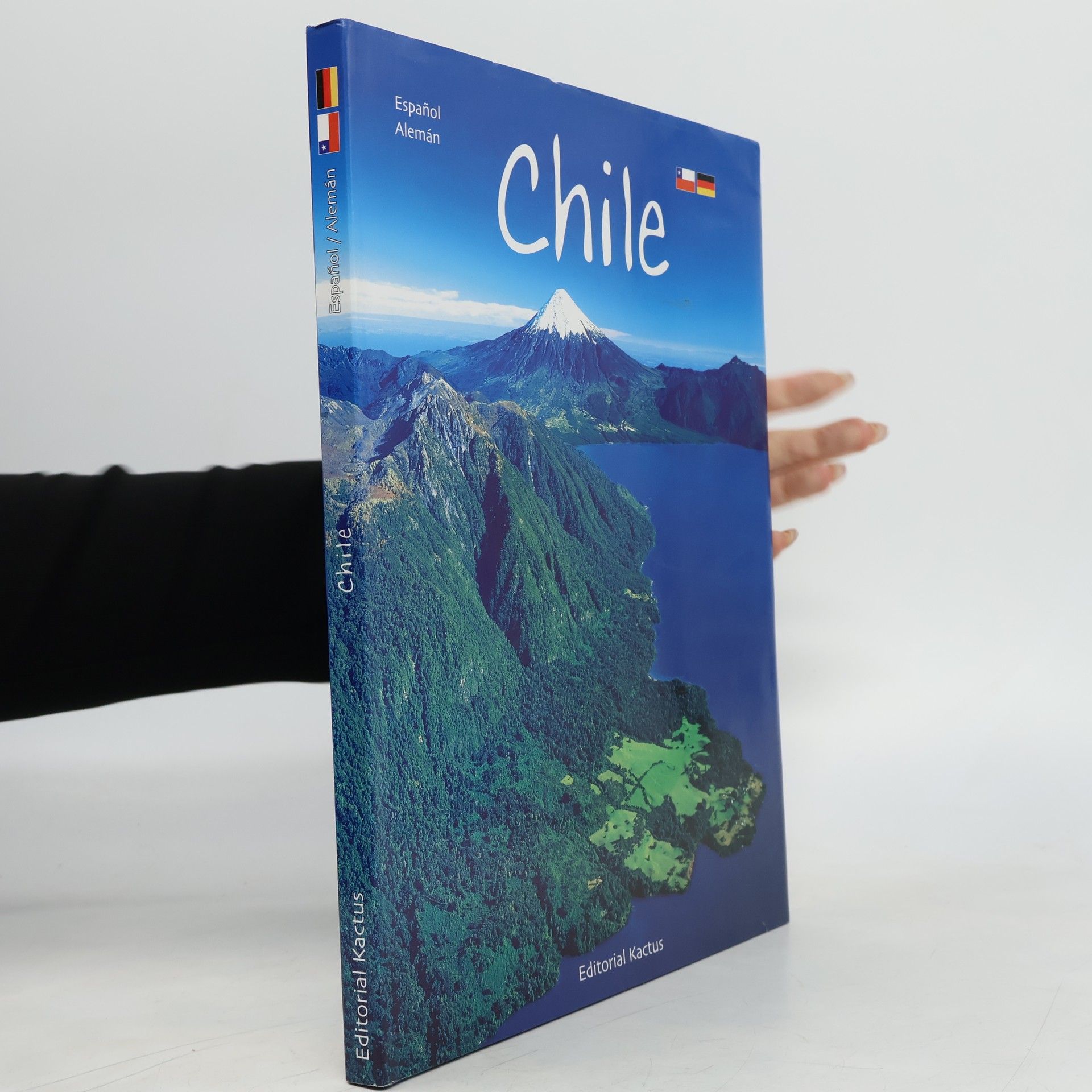 Dominique Verhasselt Puppinck Chile