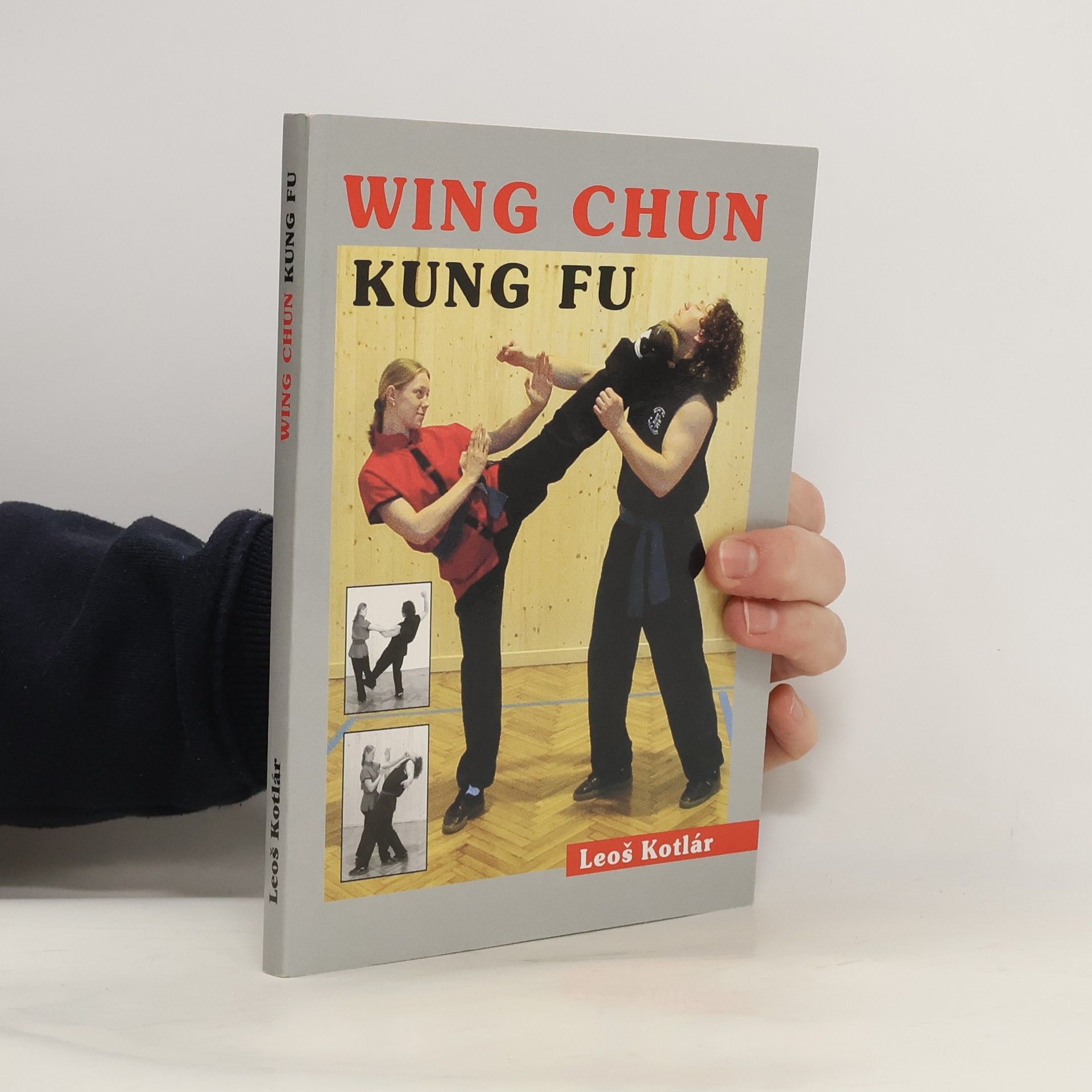 Wing chun. Kung fu. Metodická příručka