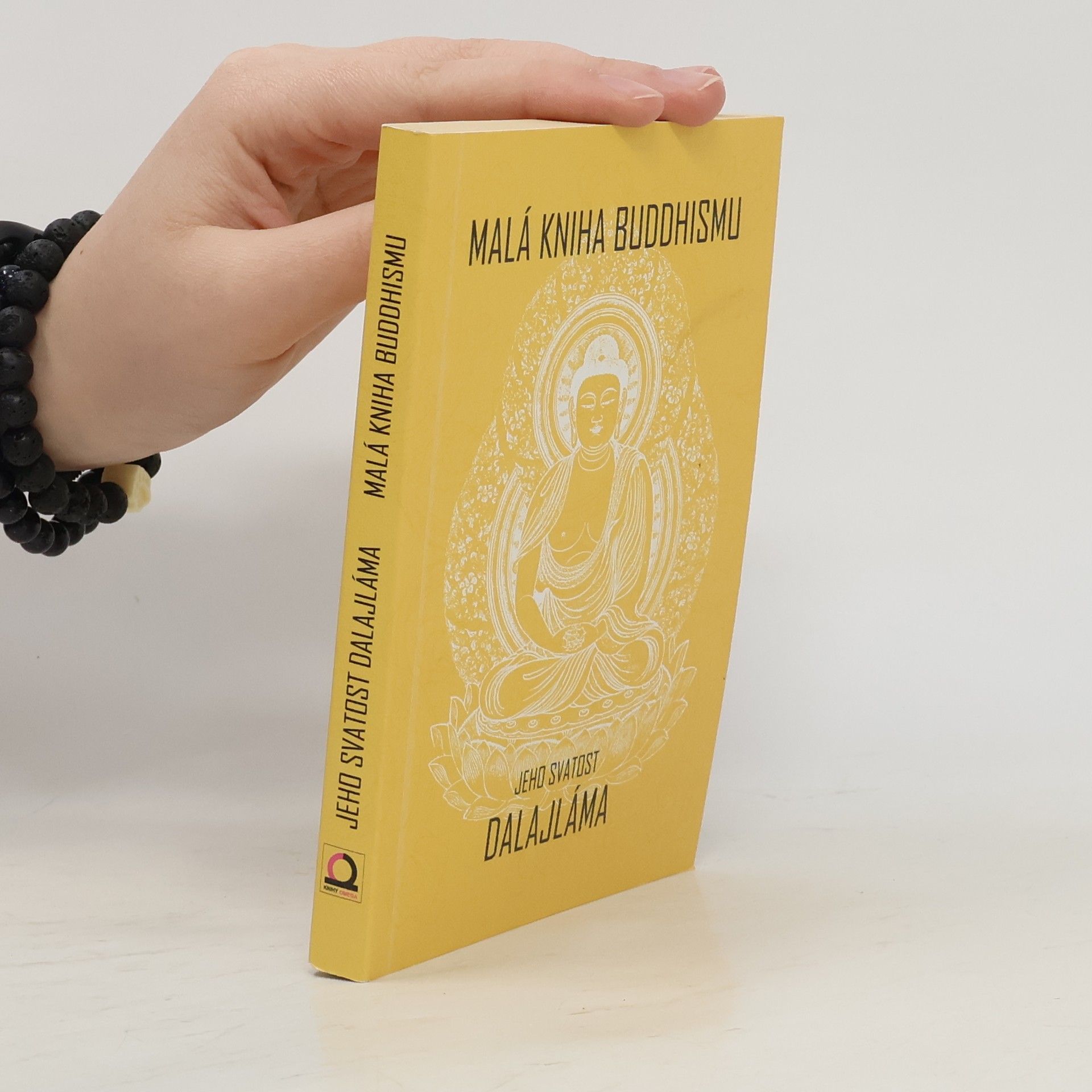 Bstan\'dzinrgyamtsho Malá kniha buddhismu