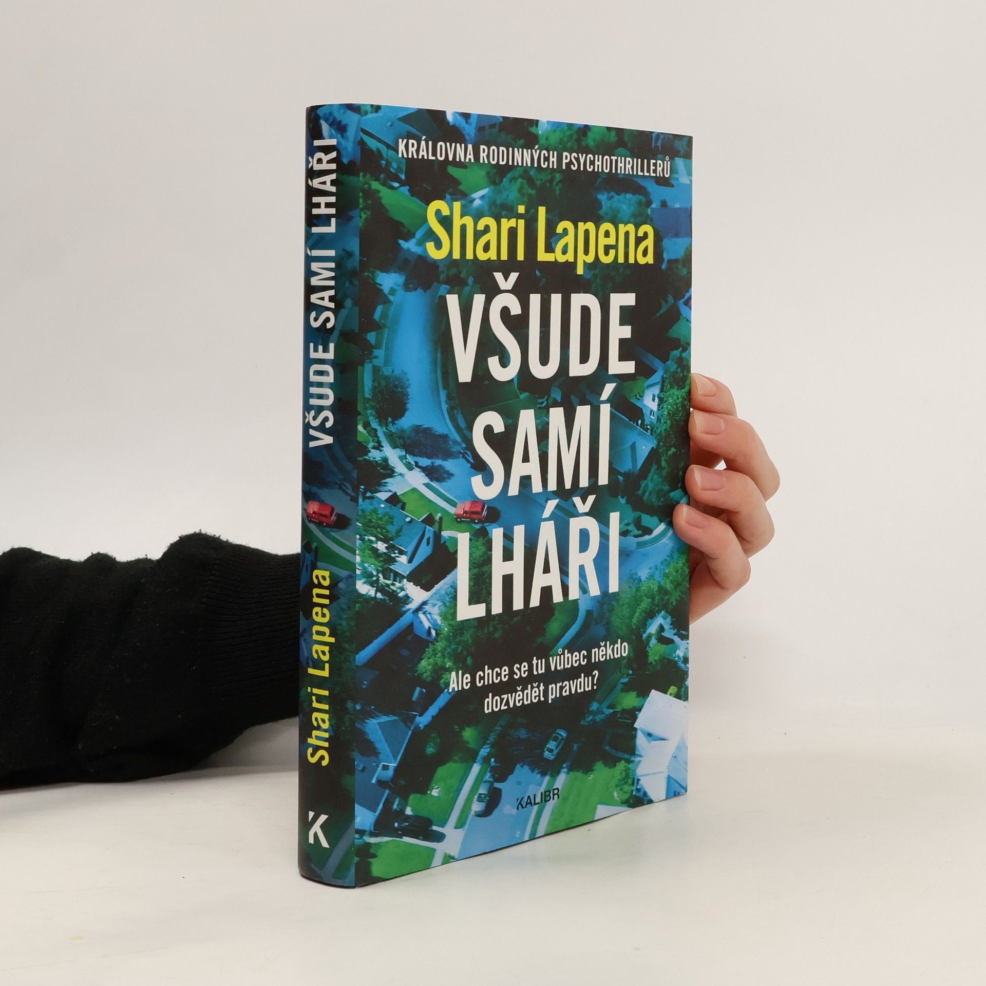 Shari Lapena Všude samí lháři