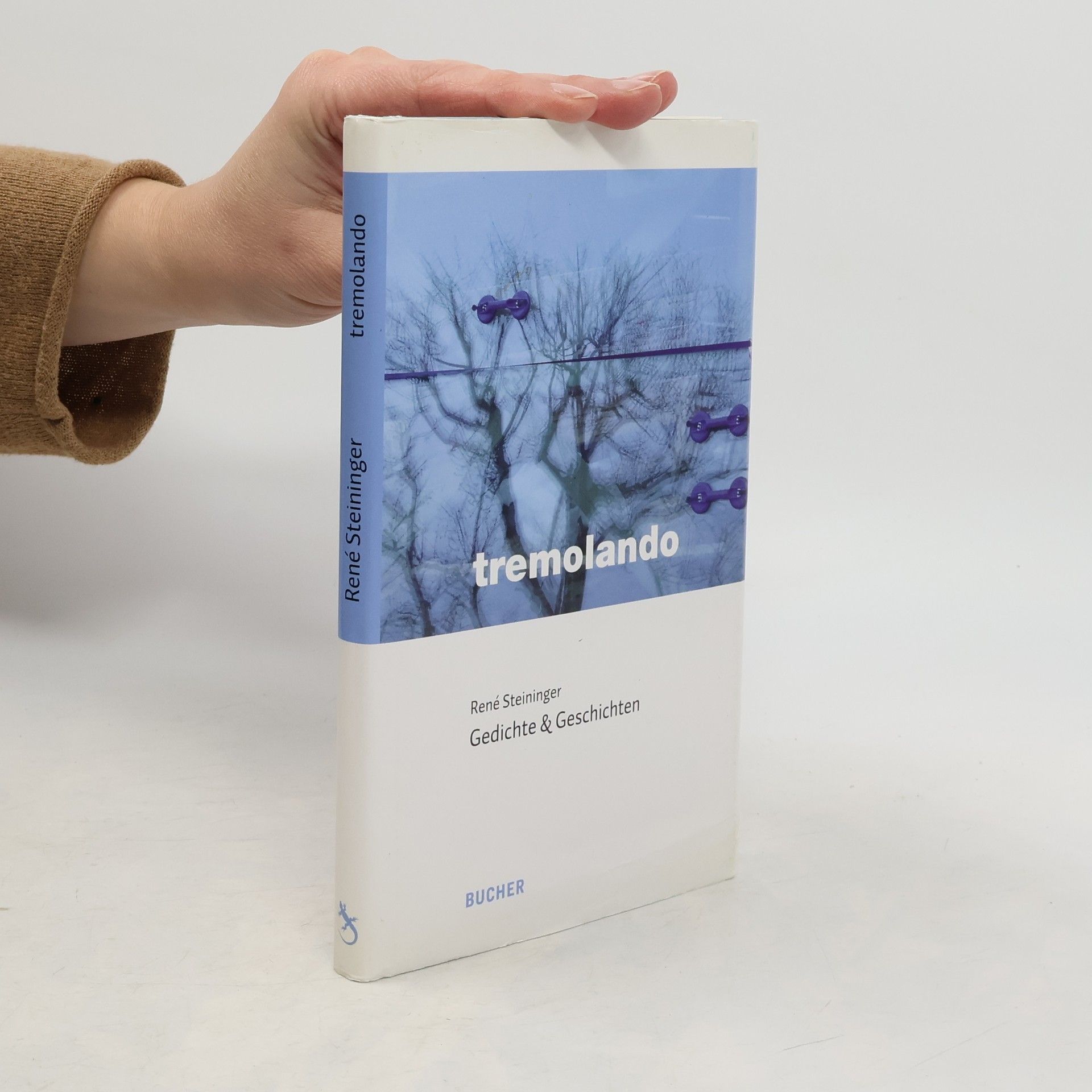 René Steininger Tremolando : Gedichte und Geschichten