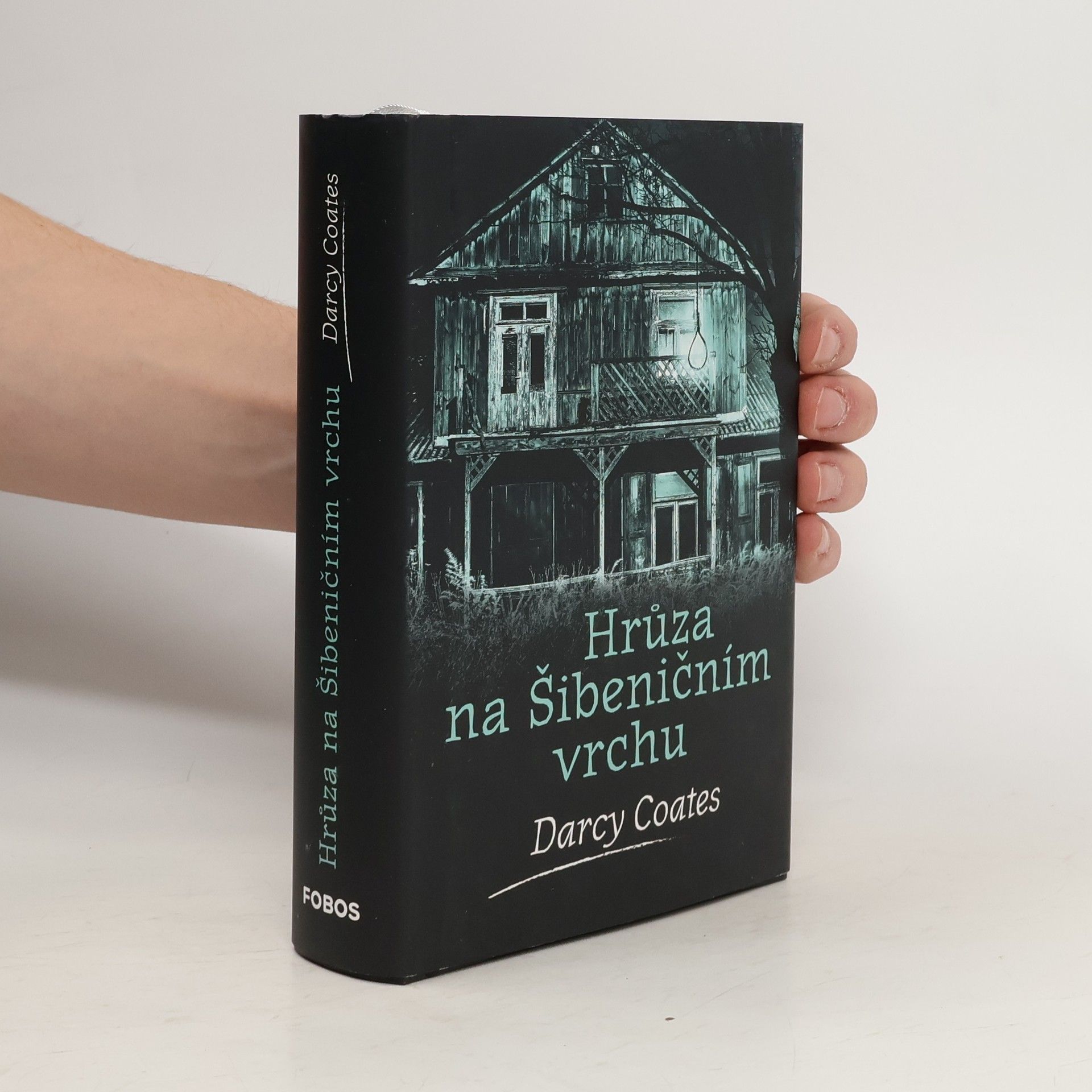 Darcy Coates Hrůza na Šibeničním vrchu