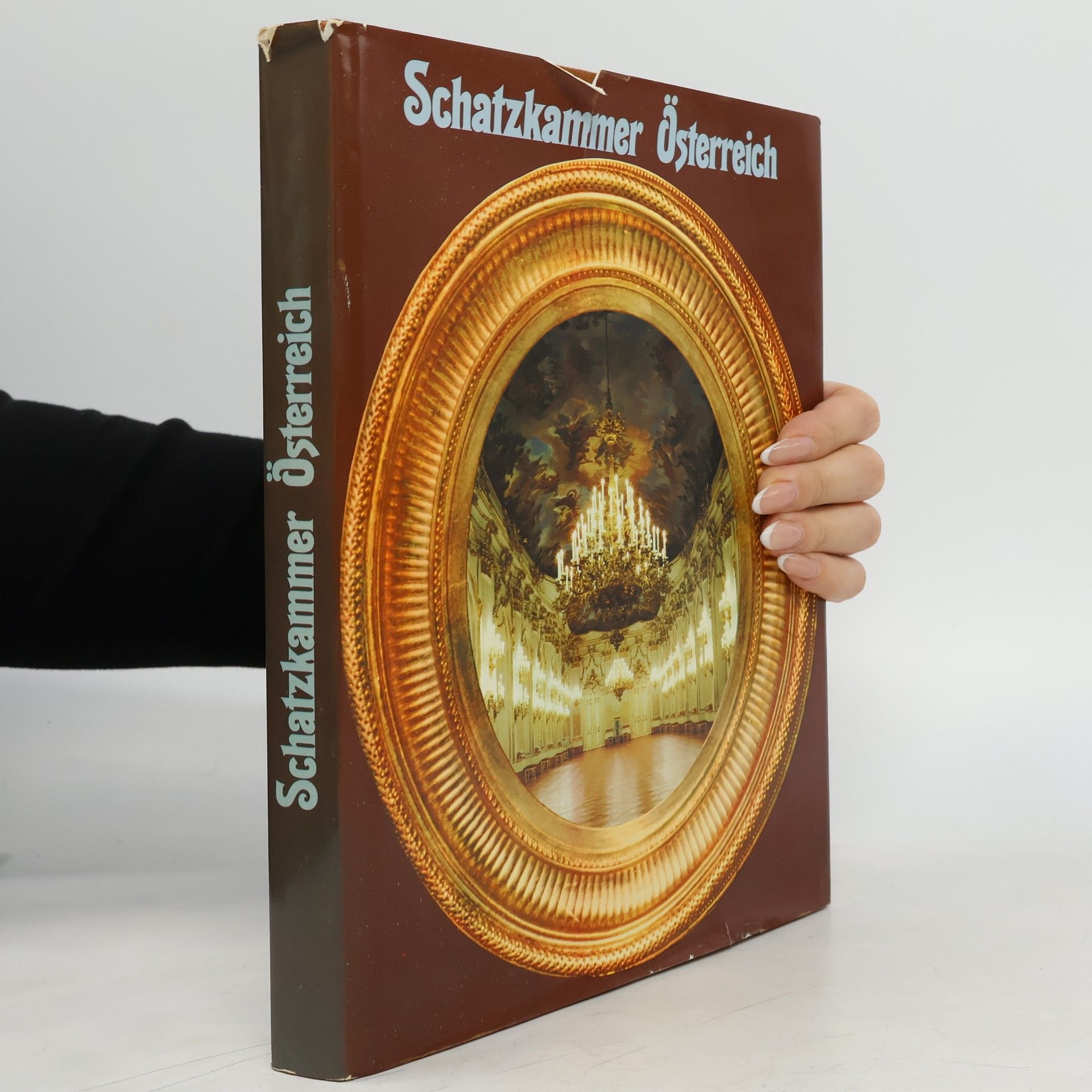 Autorenkollektiv Schatzkammer Österreich