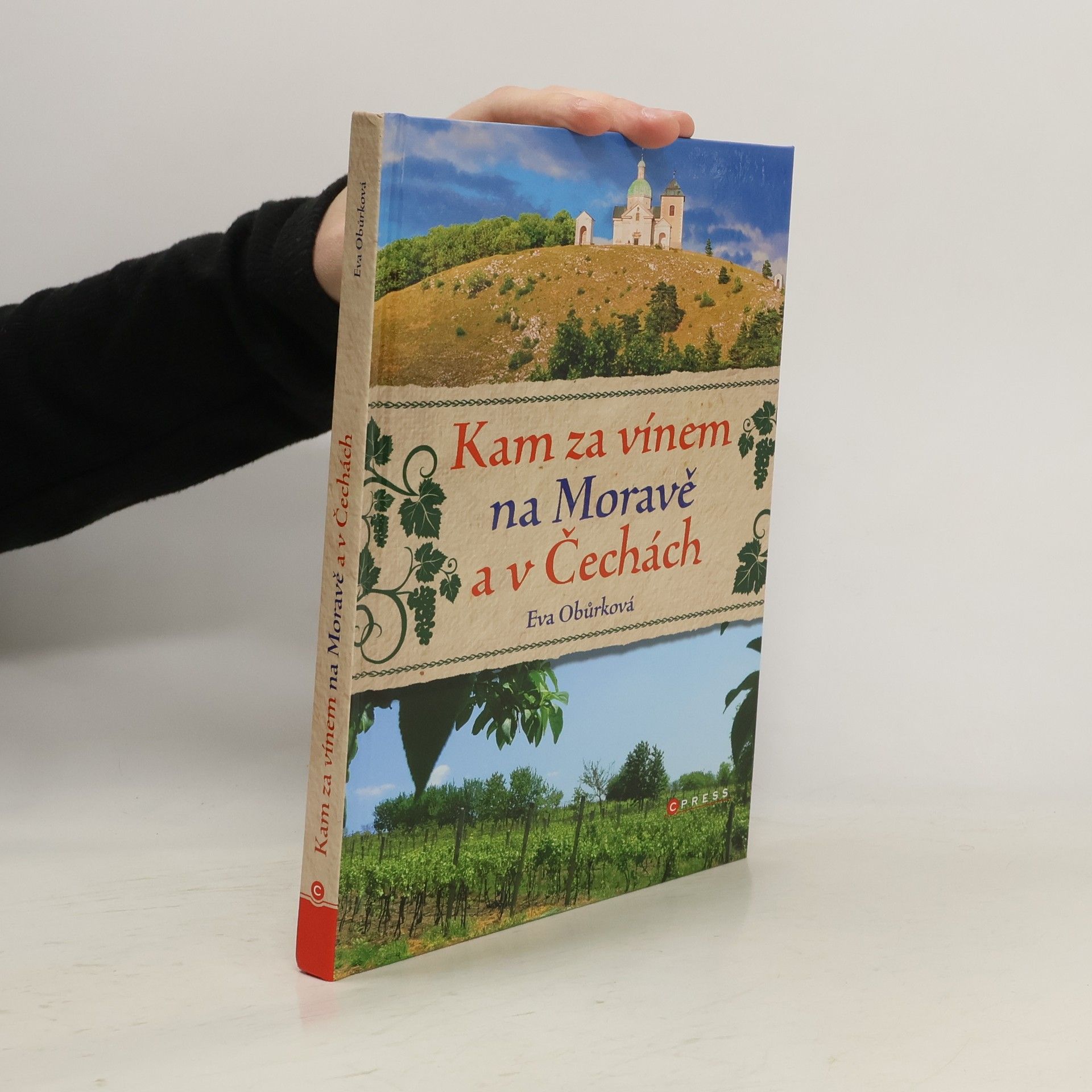 Kam za vínem na Moravě a v Čechách