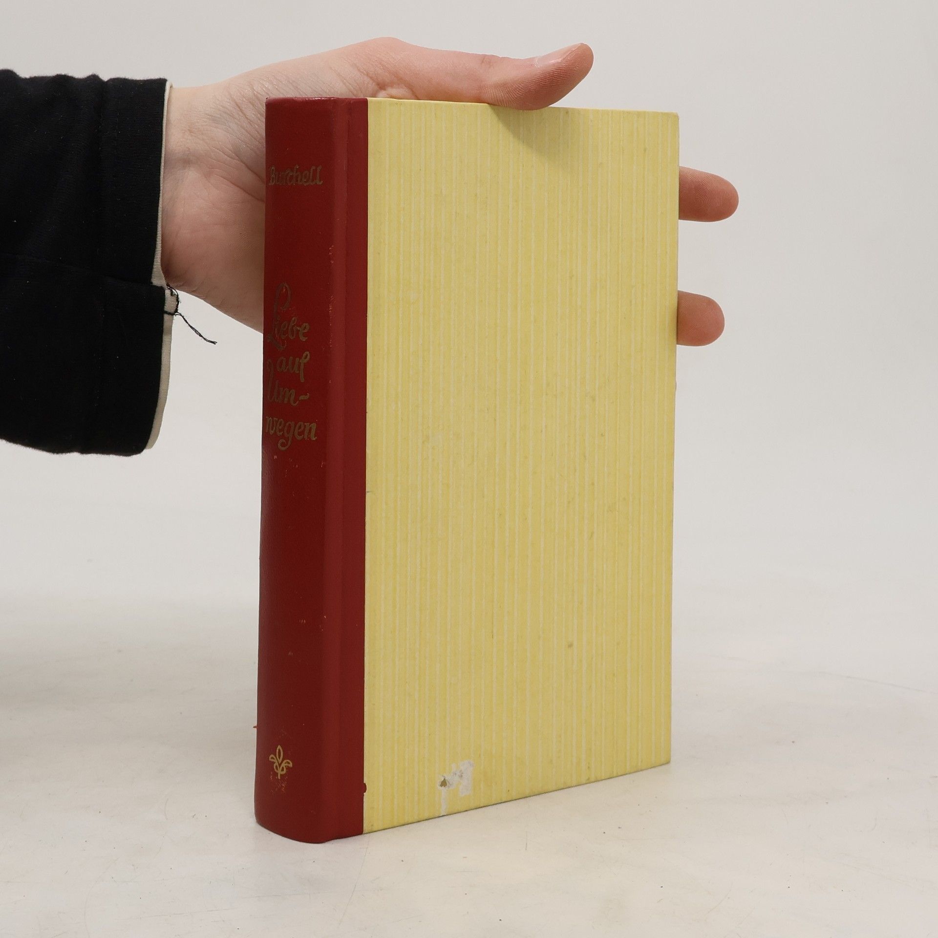 Mary Buchell Liebe auf Umwegen