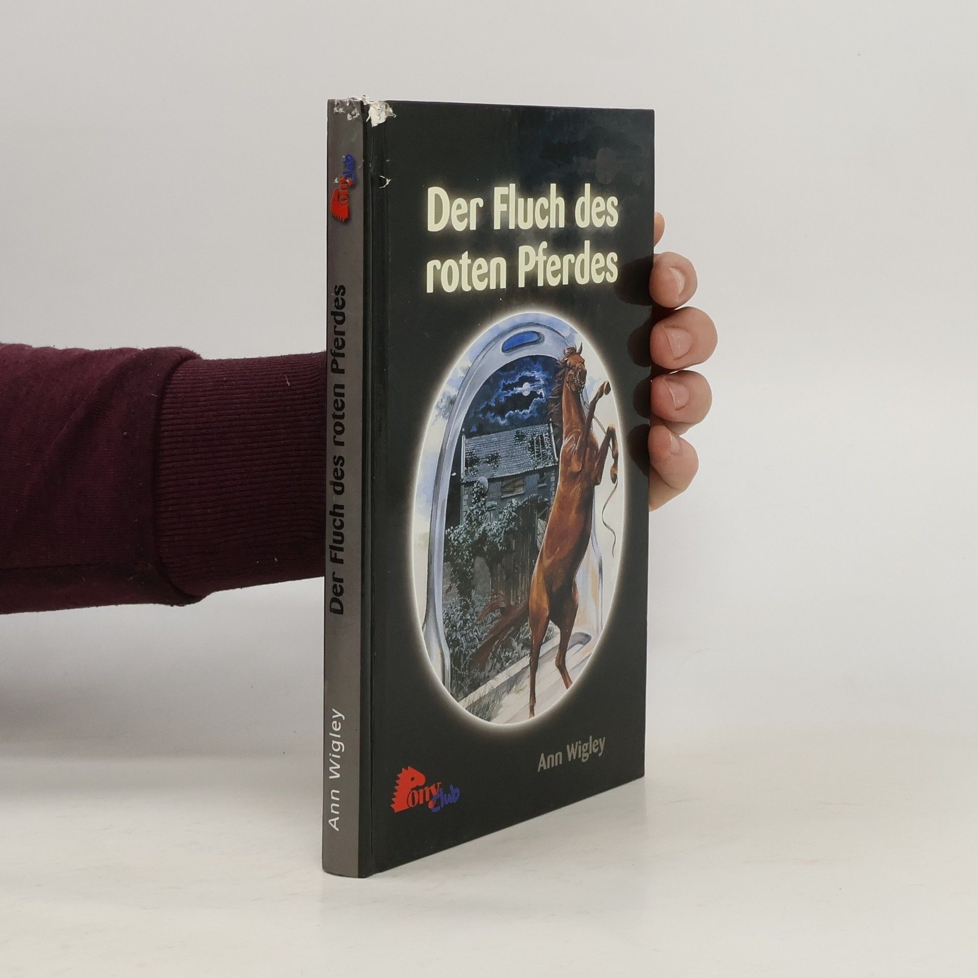 Ann Wigley Der Fluch des roten Pferdes