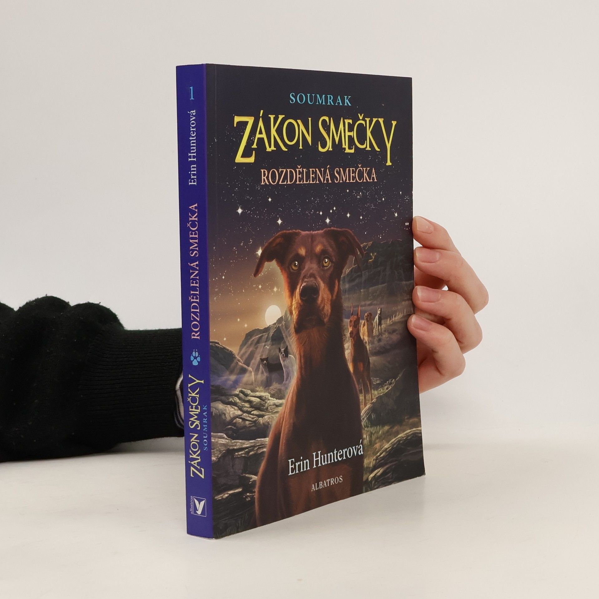 Erin Hunter Rozdělená smečka