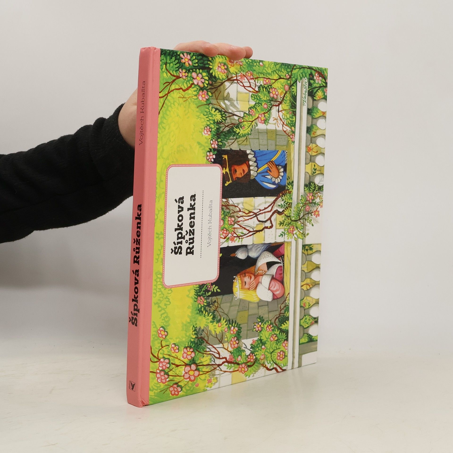 Vojtěch Kubašta Šípková Růženka