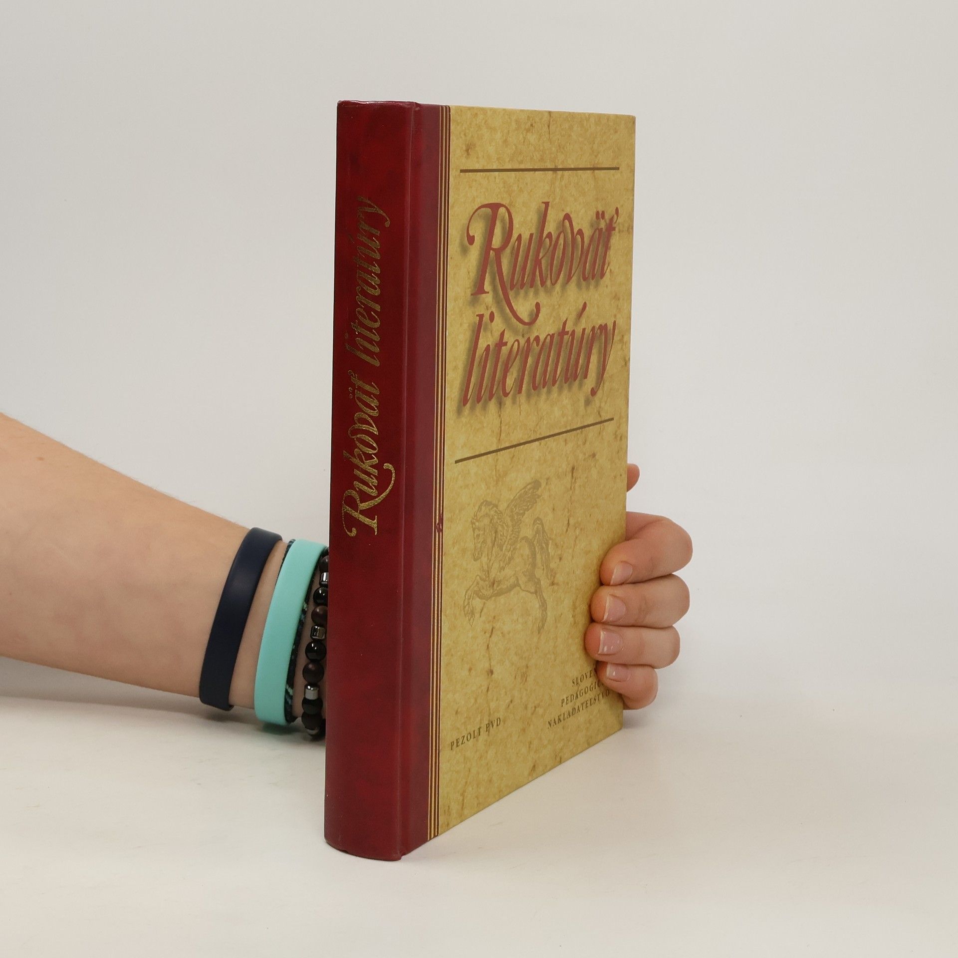 Autores varios Rukoväť literatúry