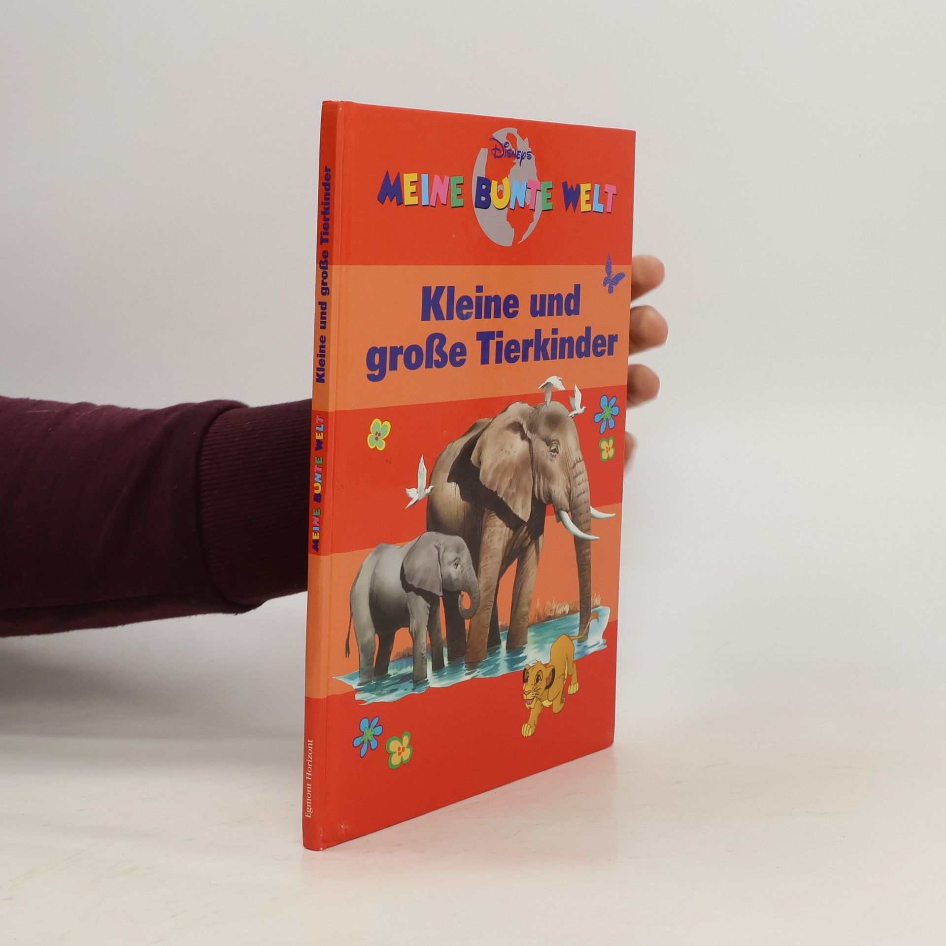 AA.VV. Meine bunte Welt: Kleine und große Tierkinder