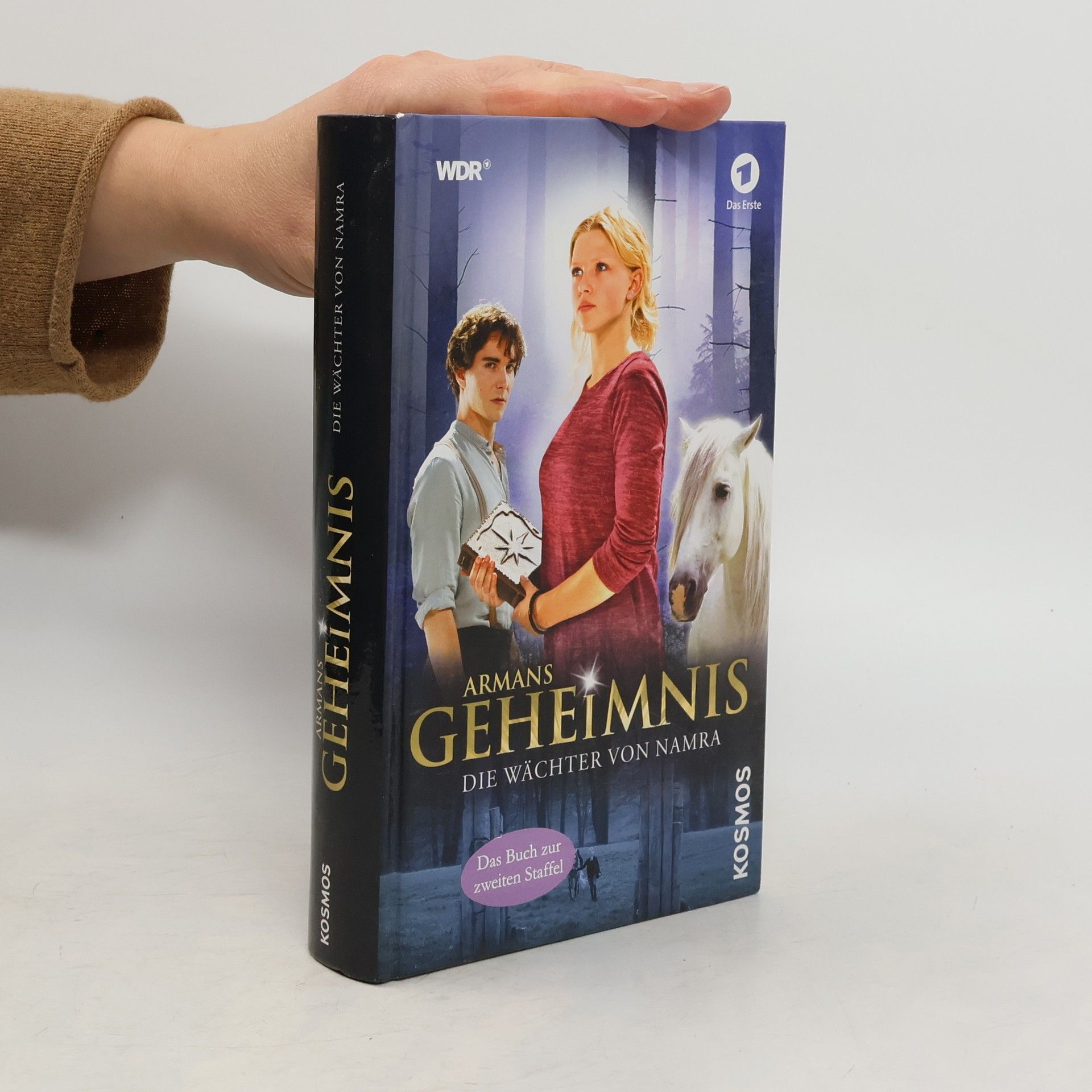 Armans Geheimnis - die Wächter von Namra