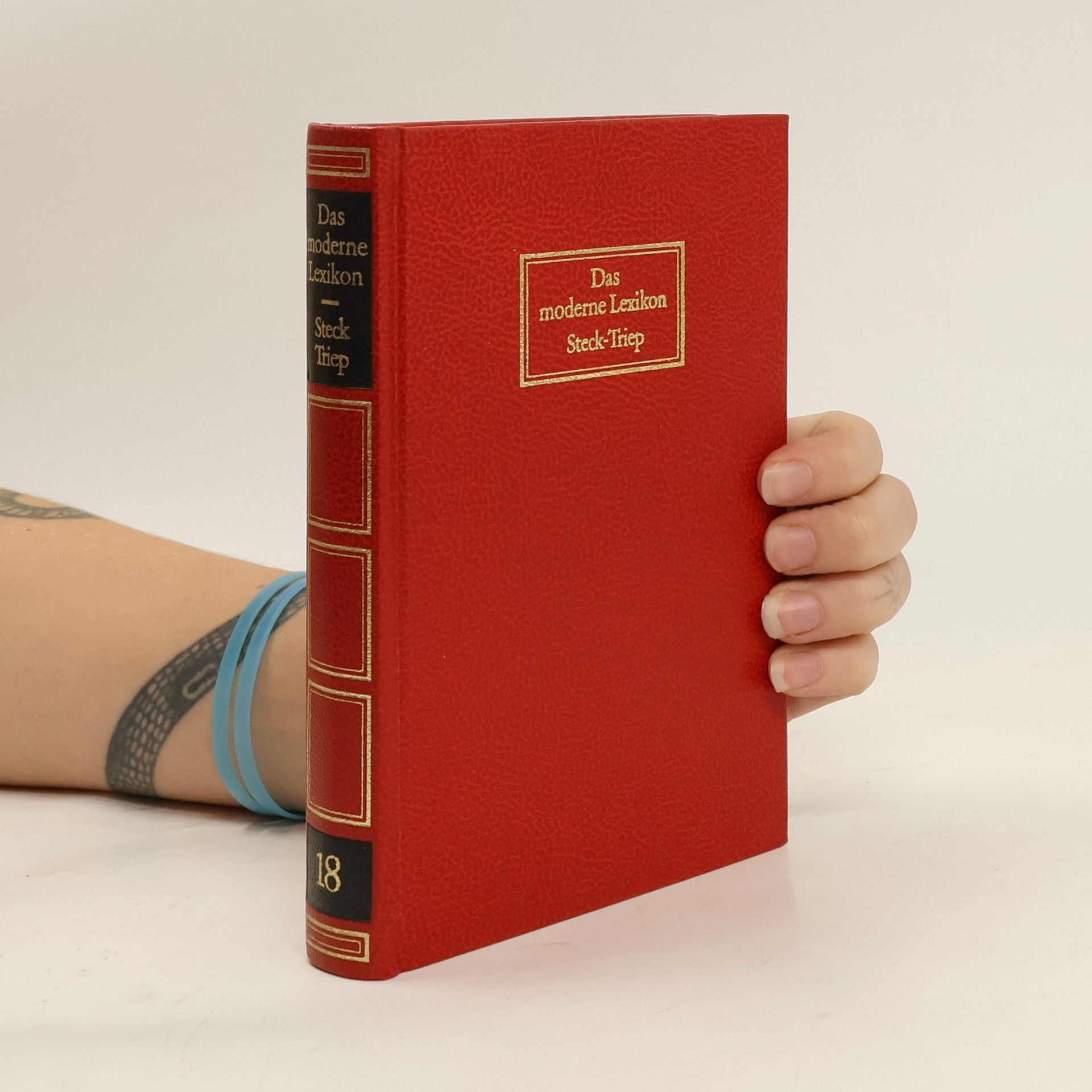 AA.VV. Das moderne Lexikon 18. Steck-Triep