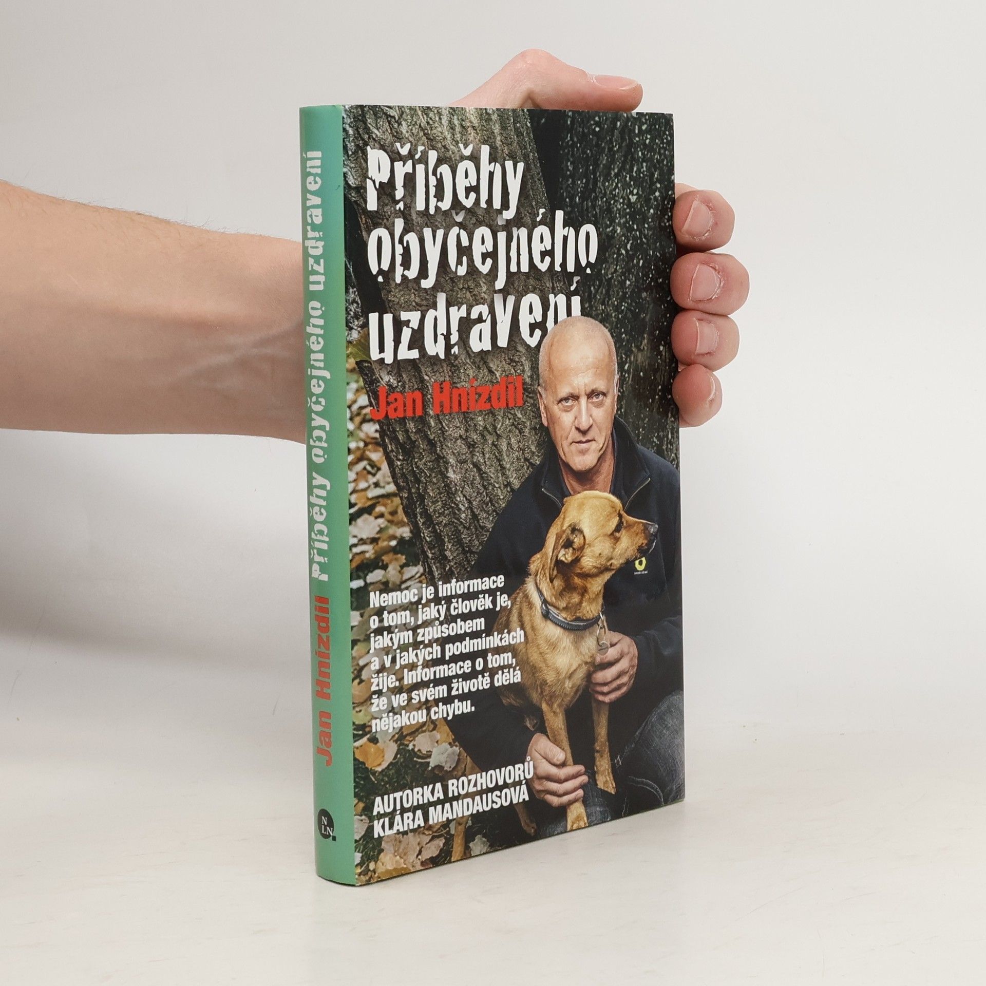 Příběhy obyčejného uzdravení