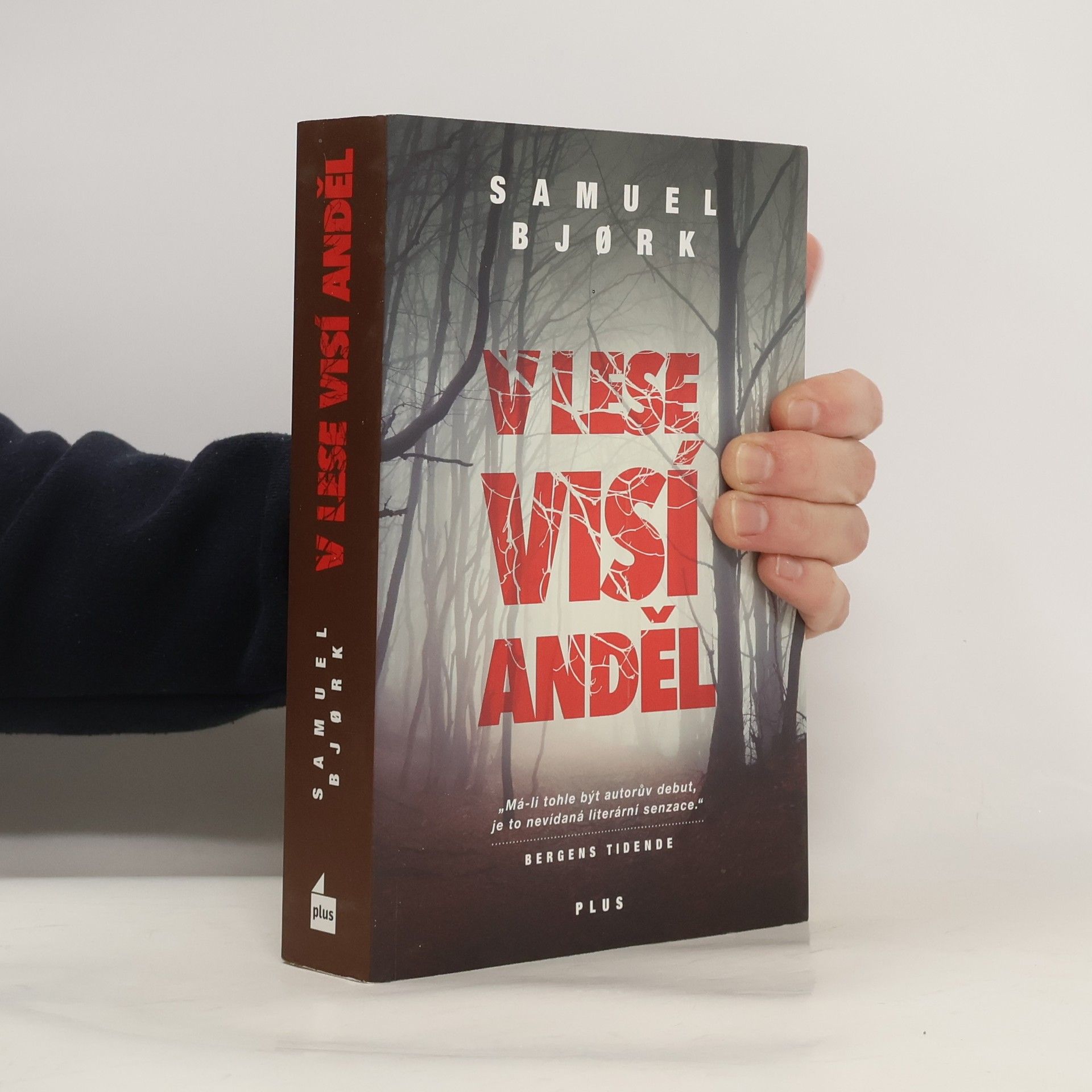 Samuel Bjork V lese visí anděl