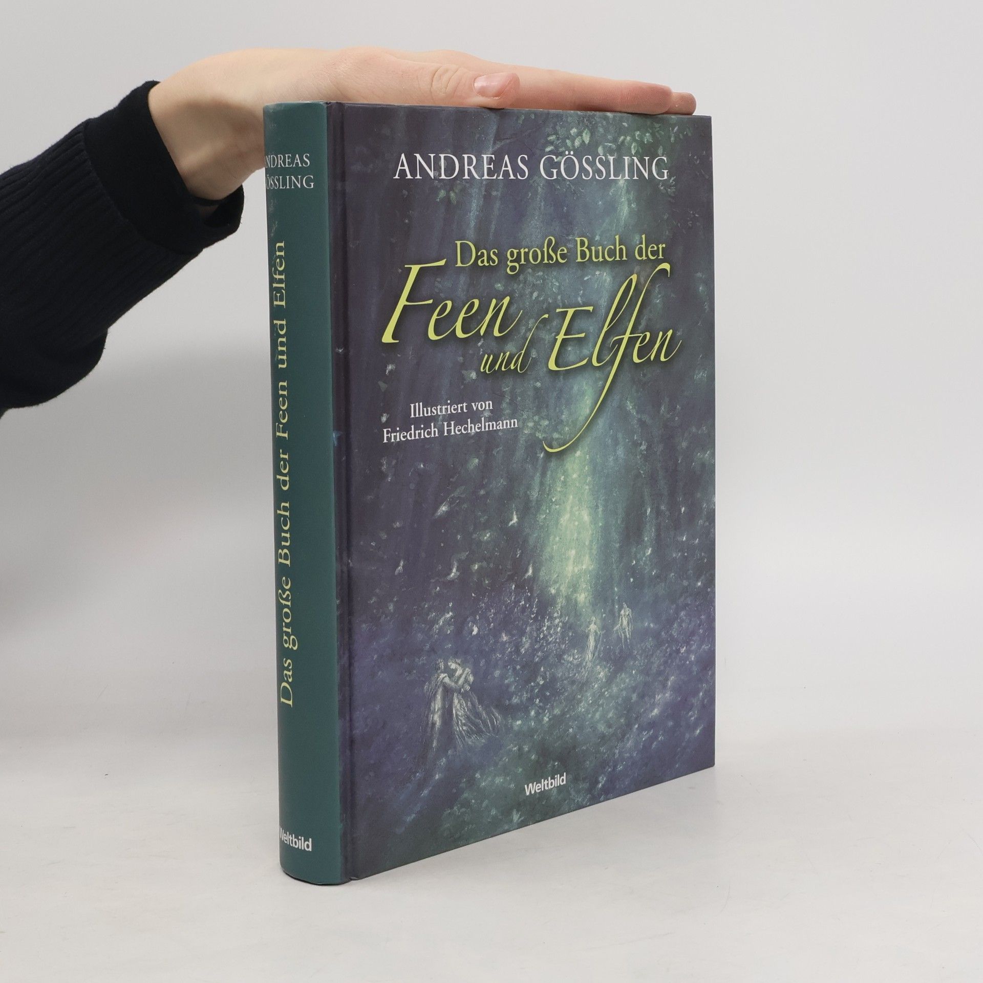 Das große Buch der Feen und Elfen