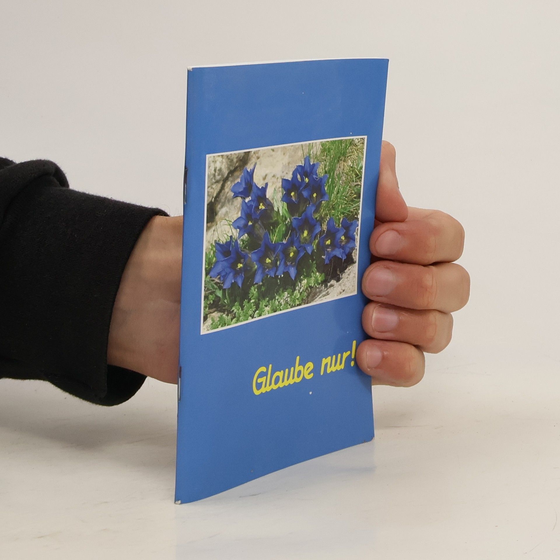 Dr. Herbert Madinger Glaube nur!