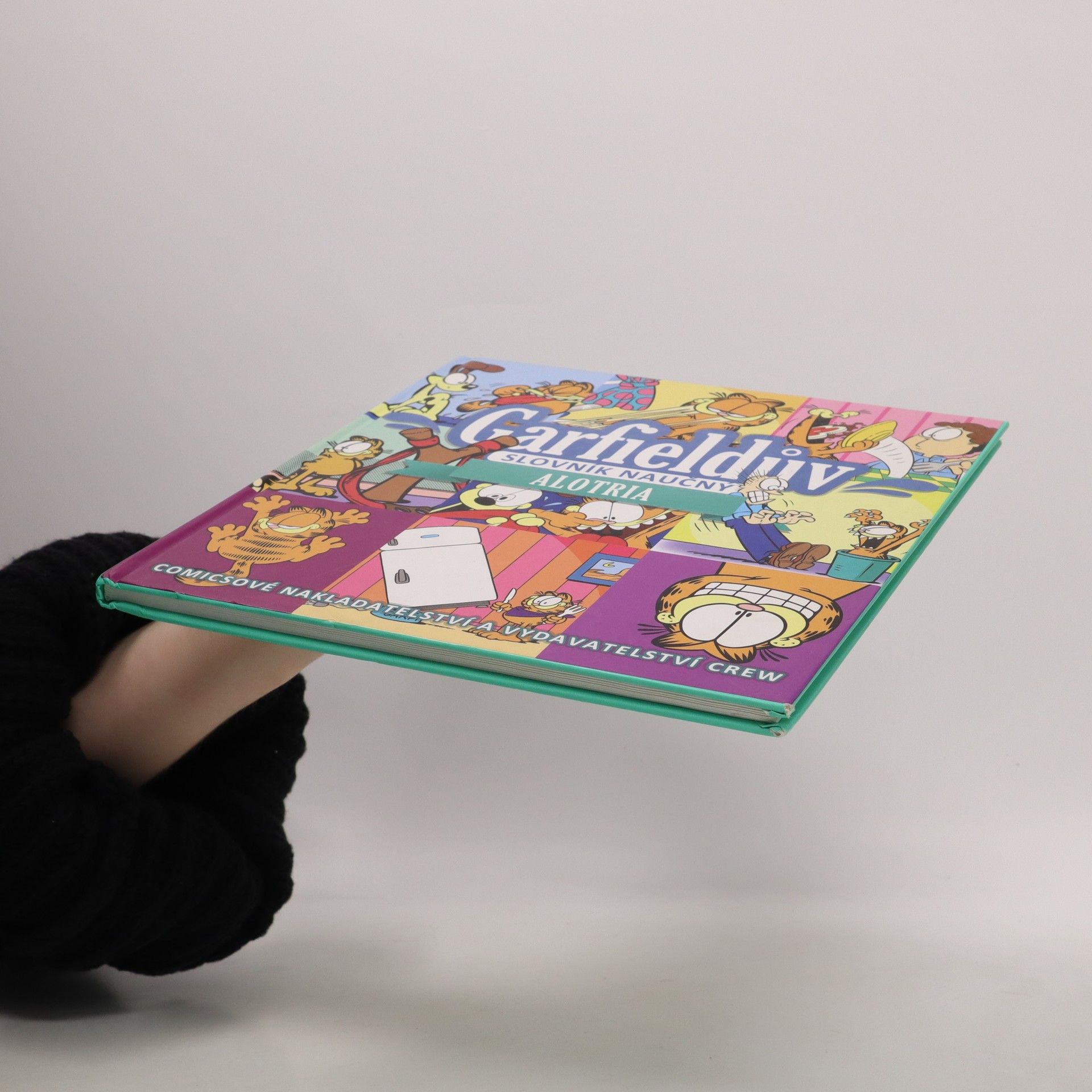 Jim Davis Garfieldův slovník naučný. Alotria