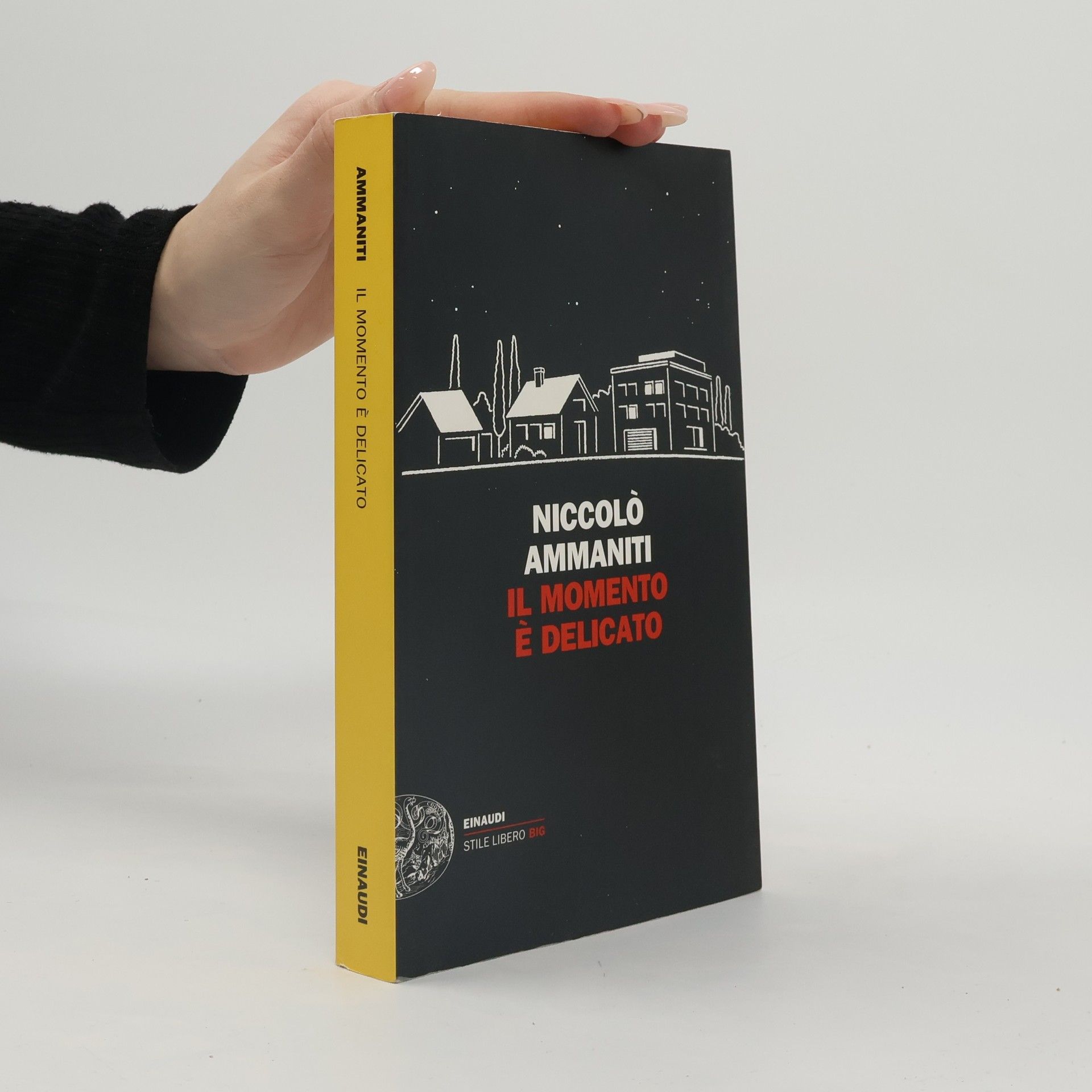 Niccolo Ammaniti Il momento è delicato