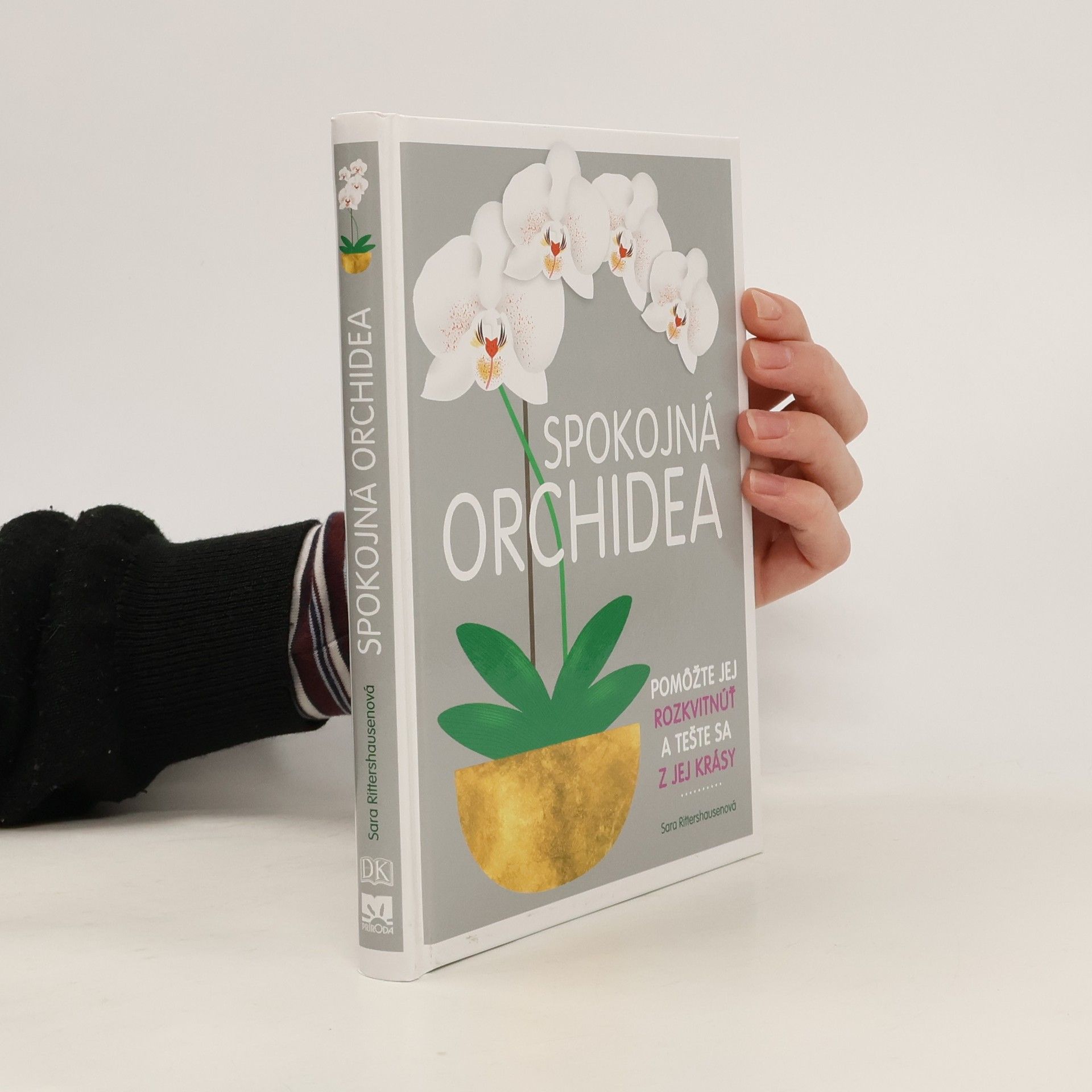 Spokojná orchidea