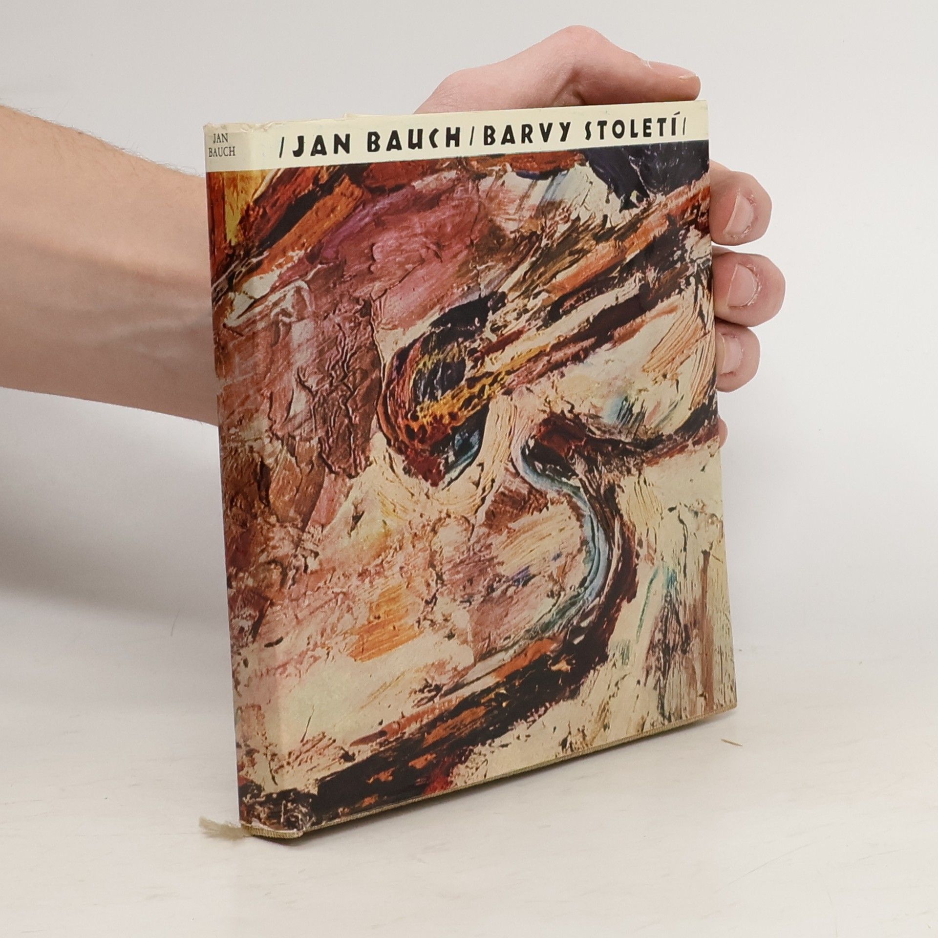Jan Bauch Barvy století