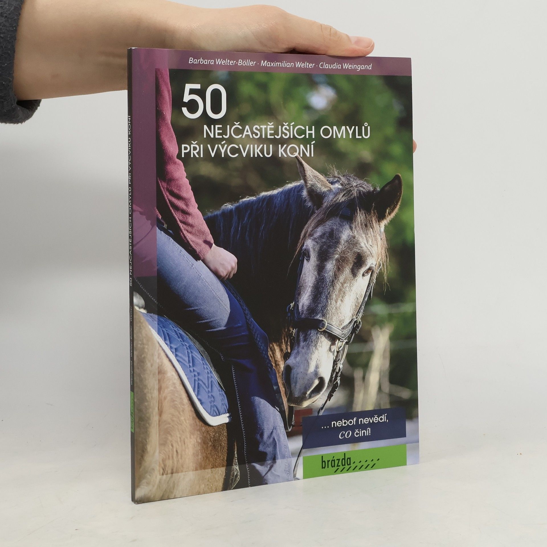 50 nejčastějších omylů při výcviku koní