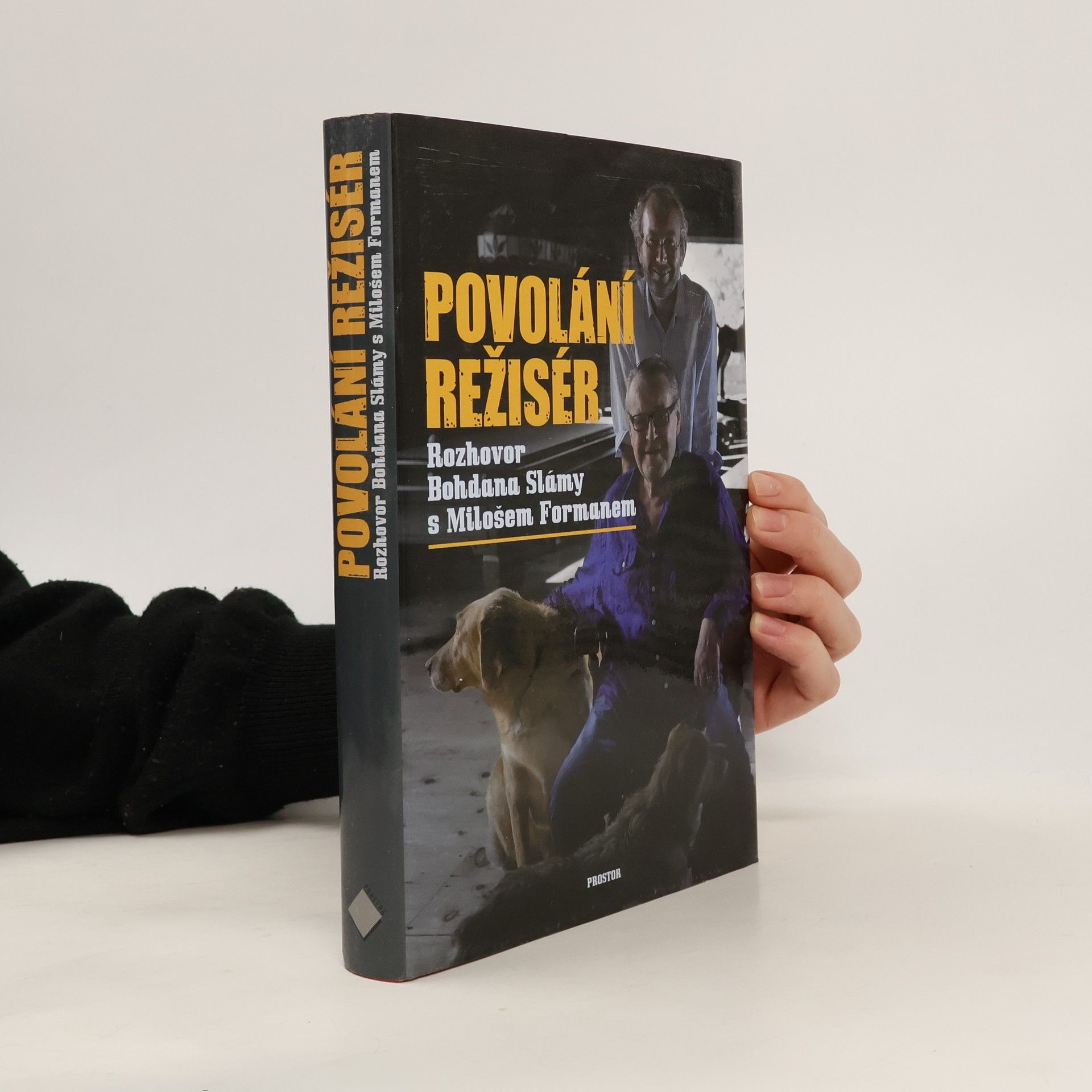 Povolání režisér