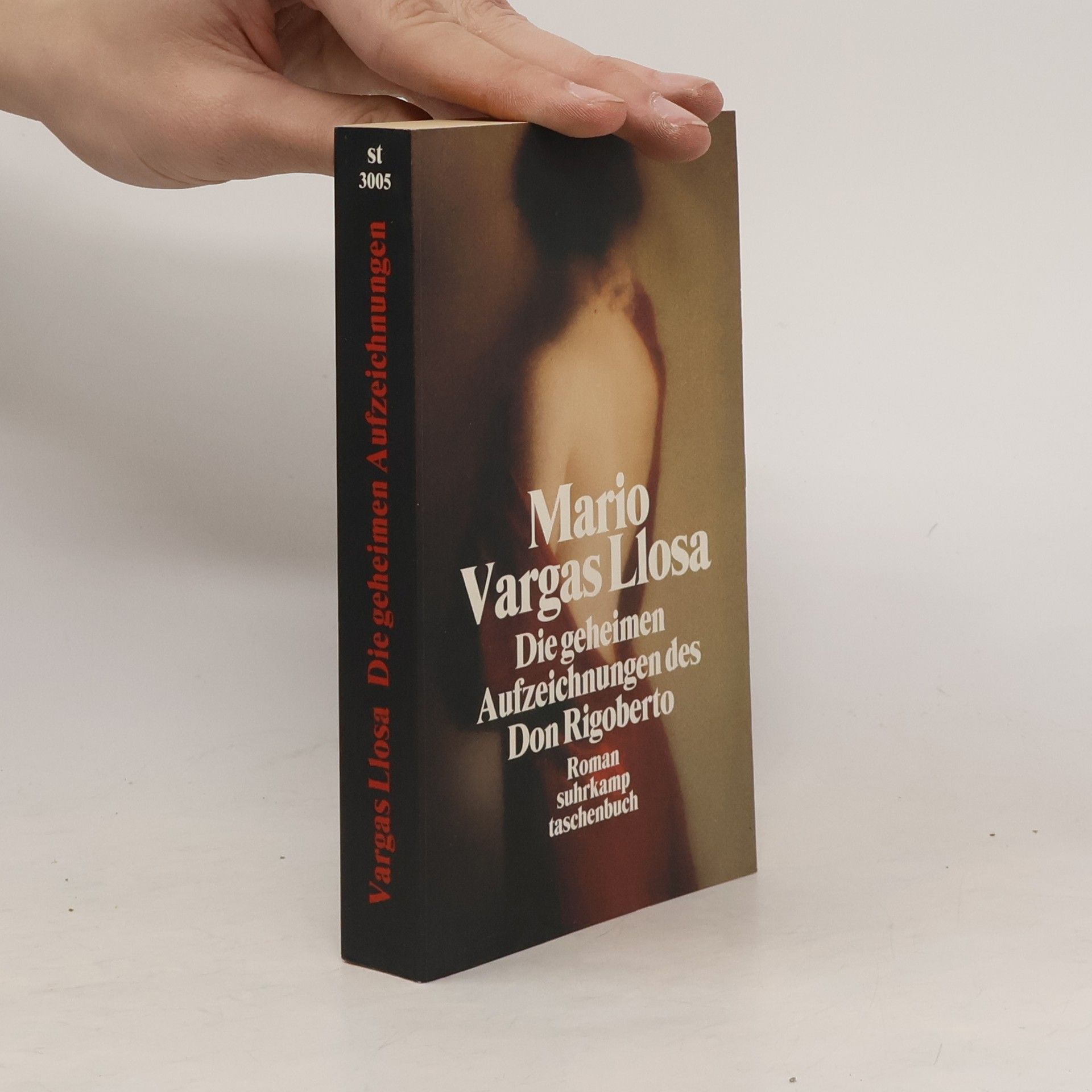 Mario Vargas Llosa Die geheimen Aufzeichnungen des Don Rigoberto