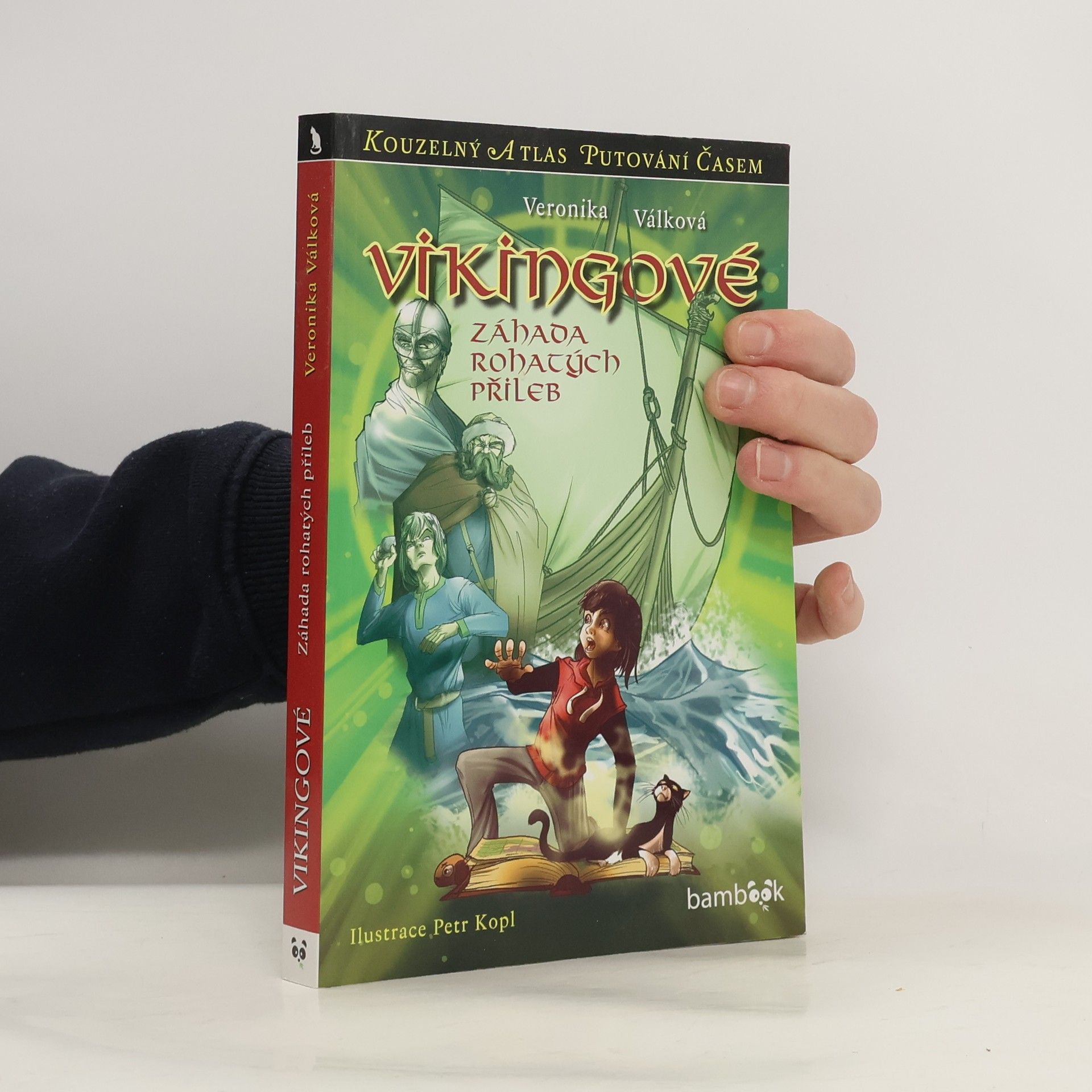 Vikingové : záhada rohatých přileb