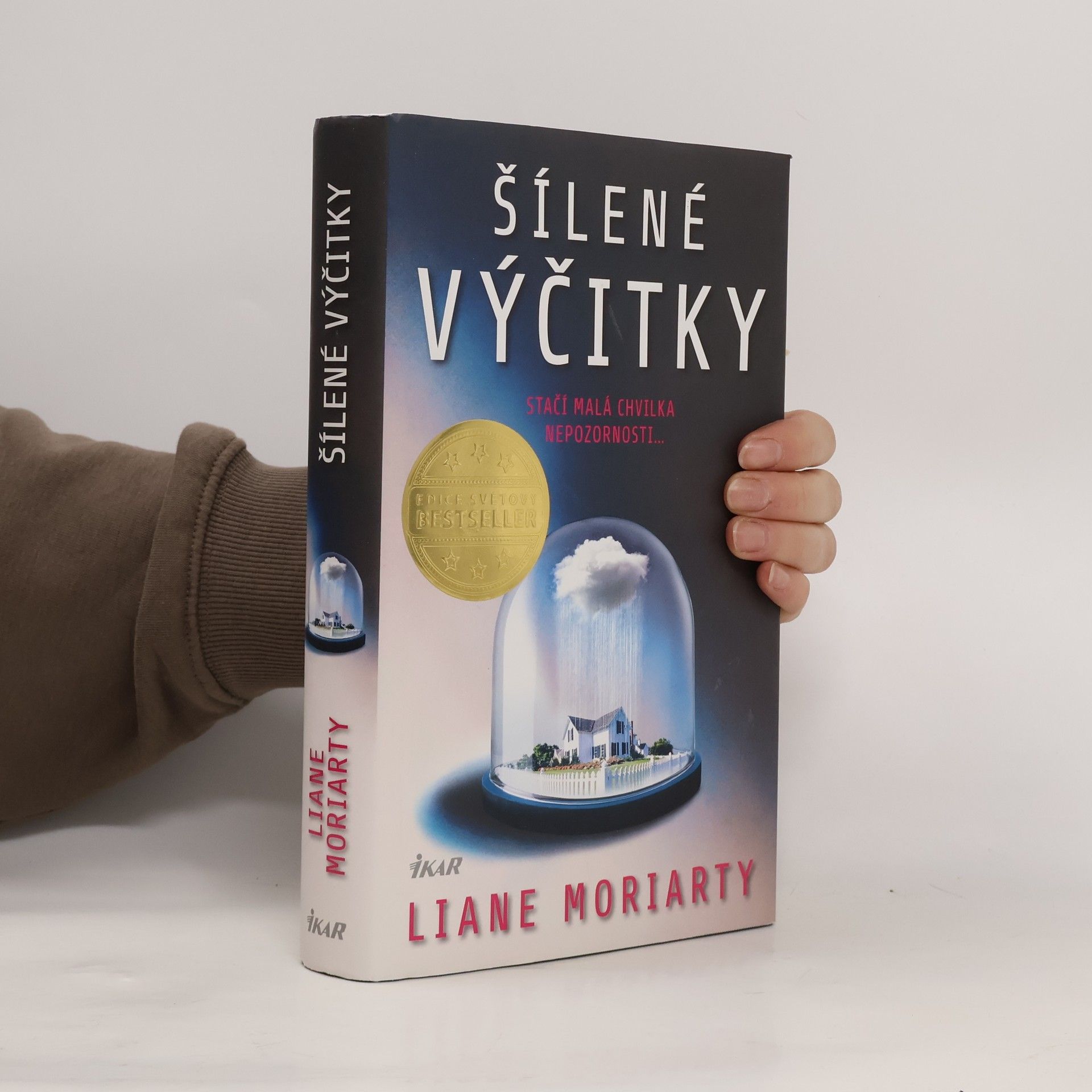 Liane Moriarty Šílené výčitky
