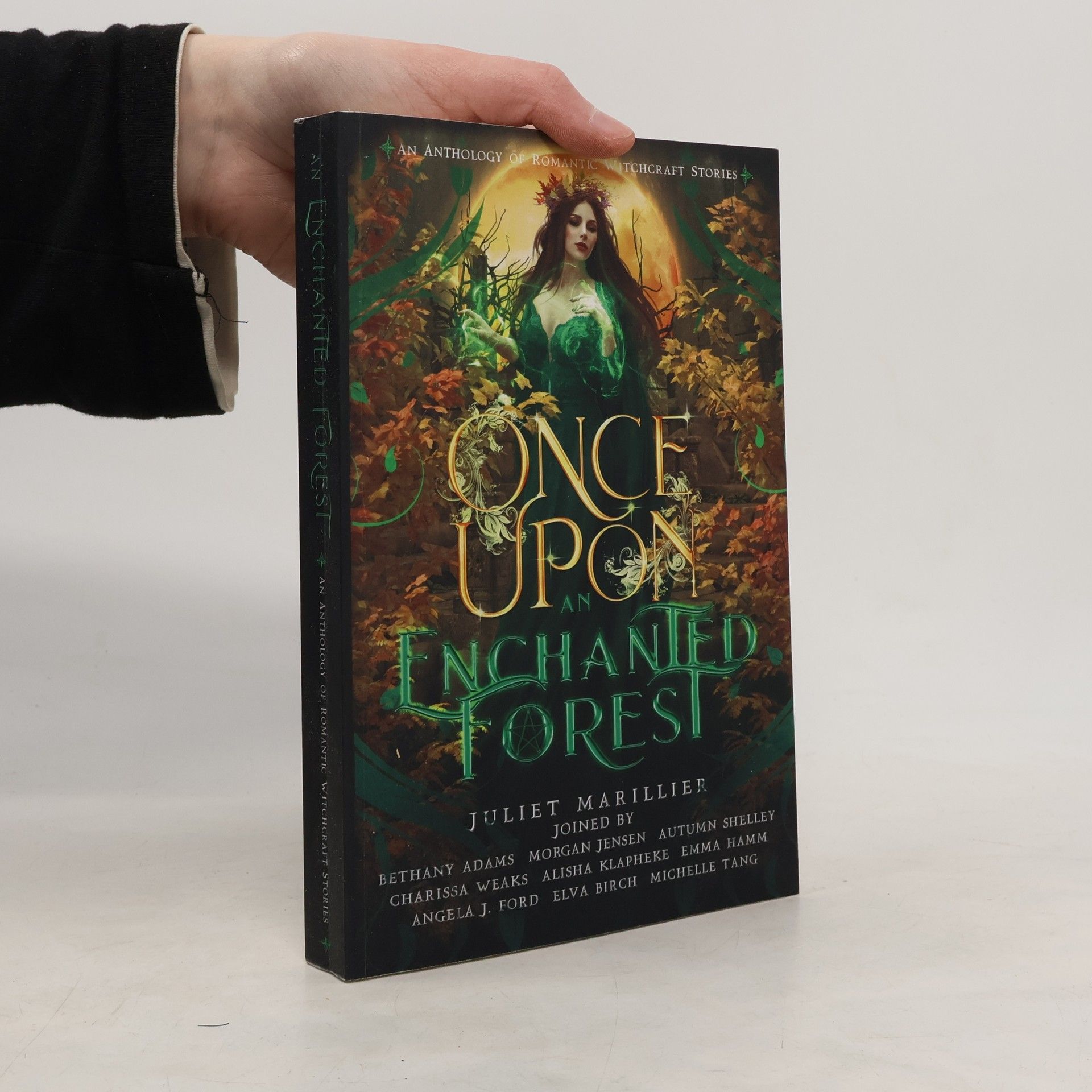 Once Upon an Enchanted Forest