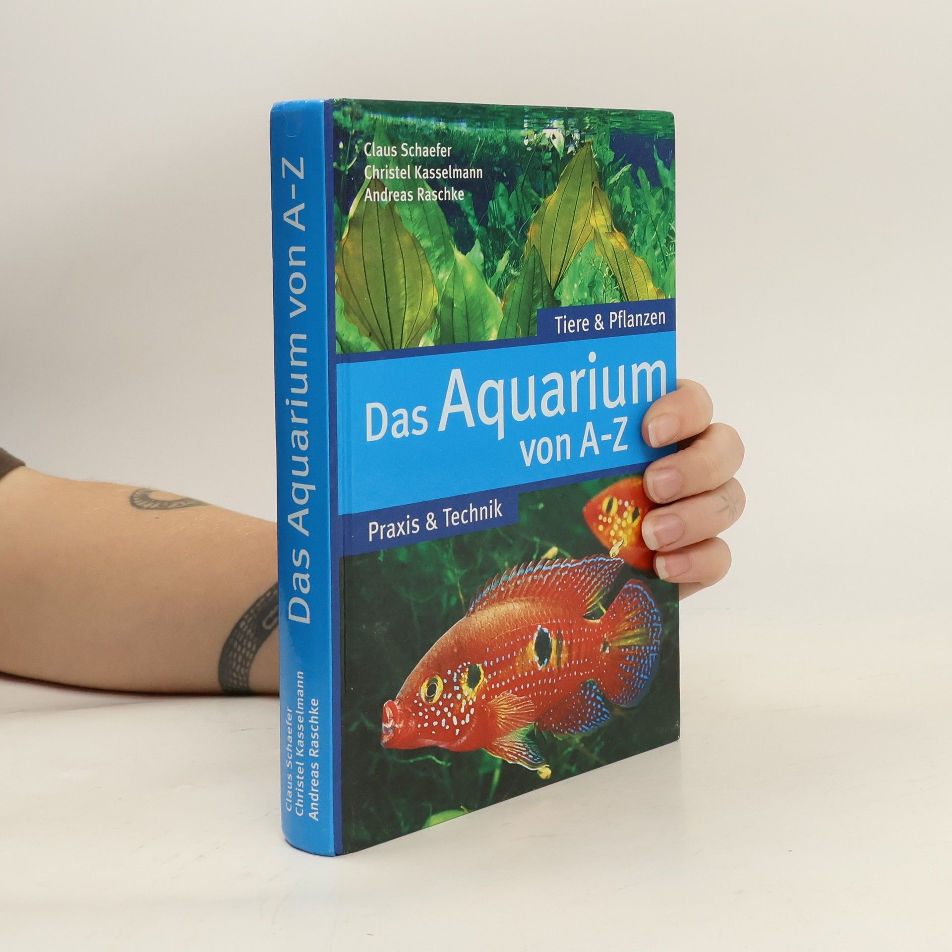 Das Aquarium von A-Z