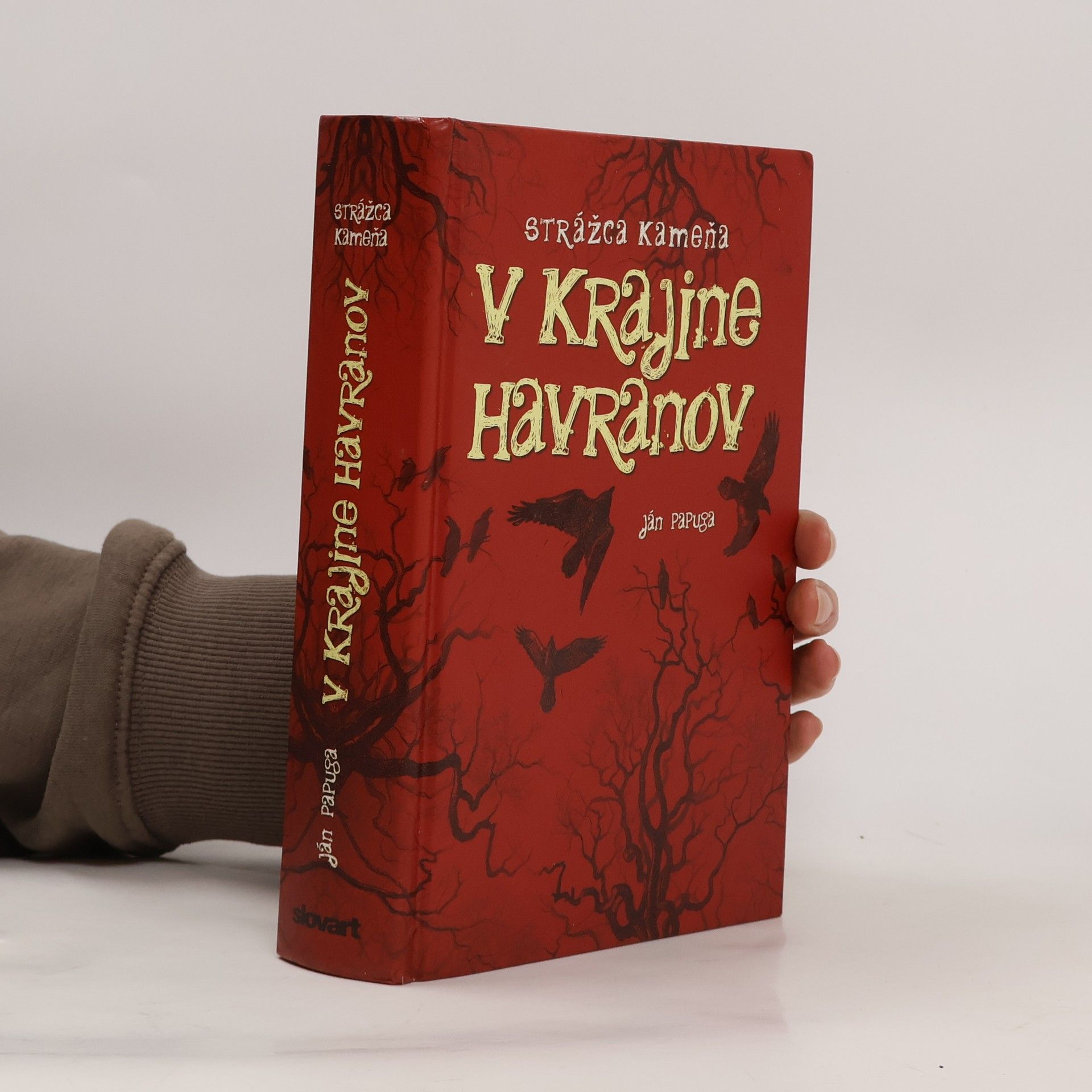 Ján Papuga V krajine havranov