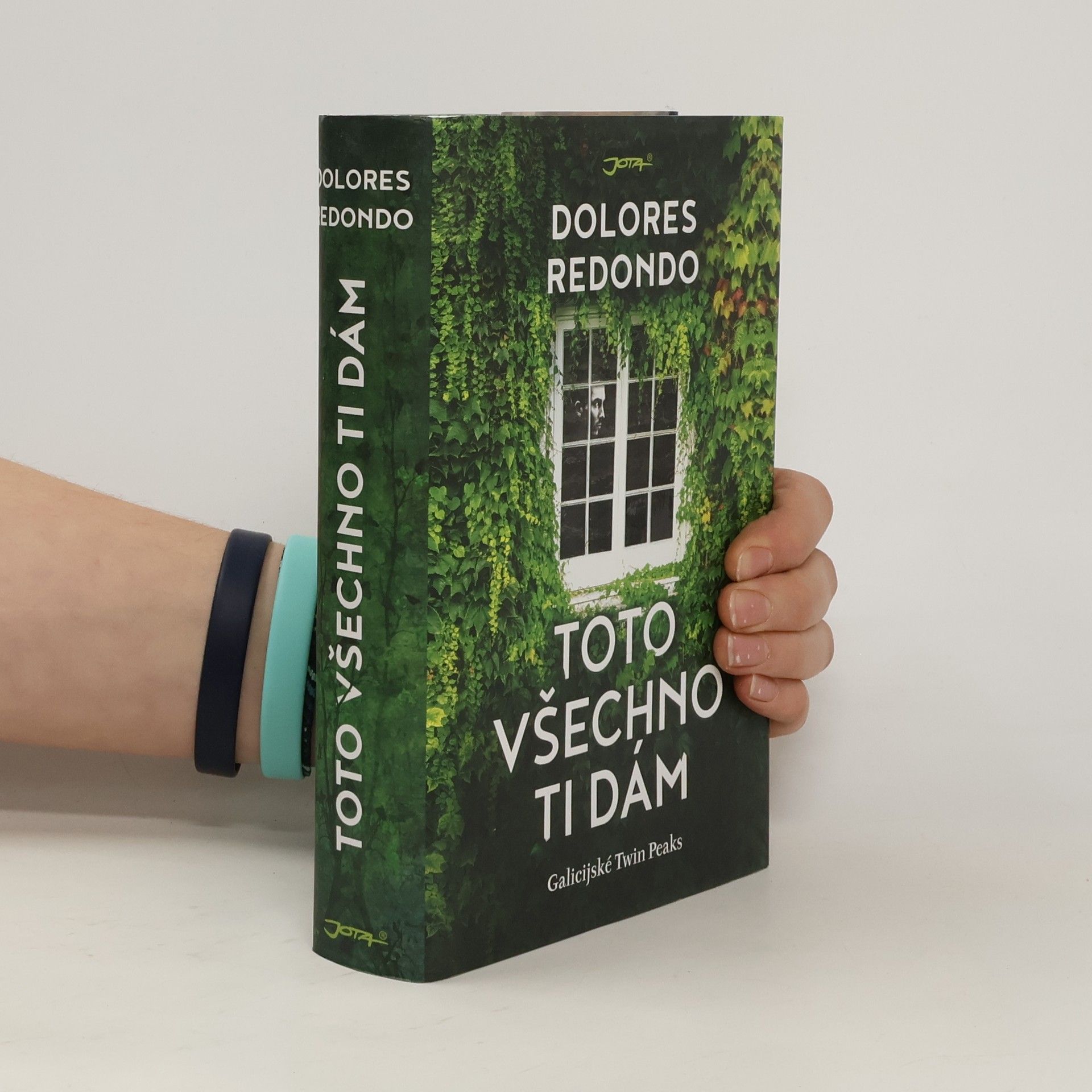 Dolores Redondo Toto všechno ti dám