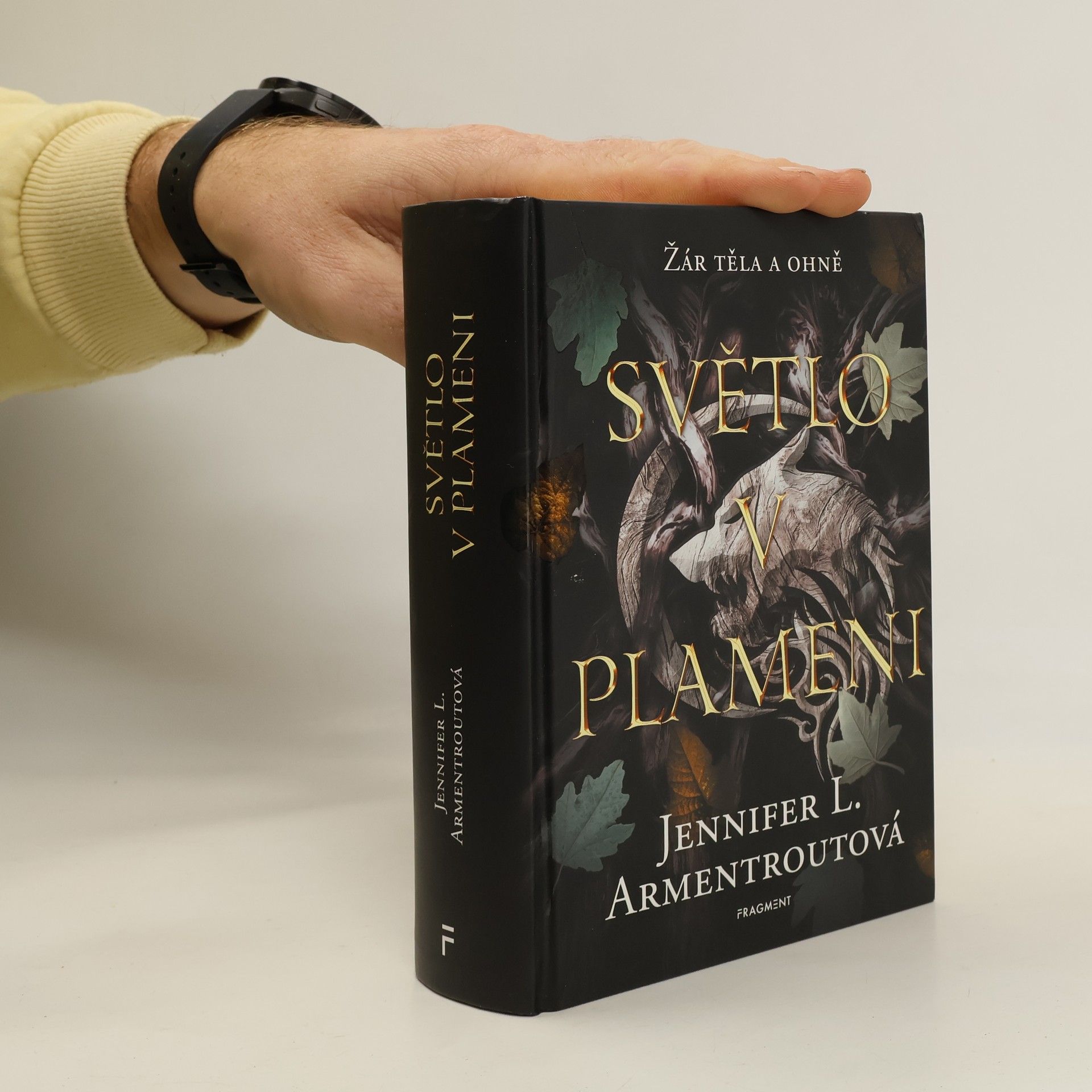 Jennifer L. Armentrout Světlo v plameni