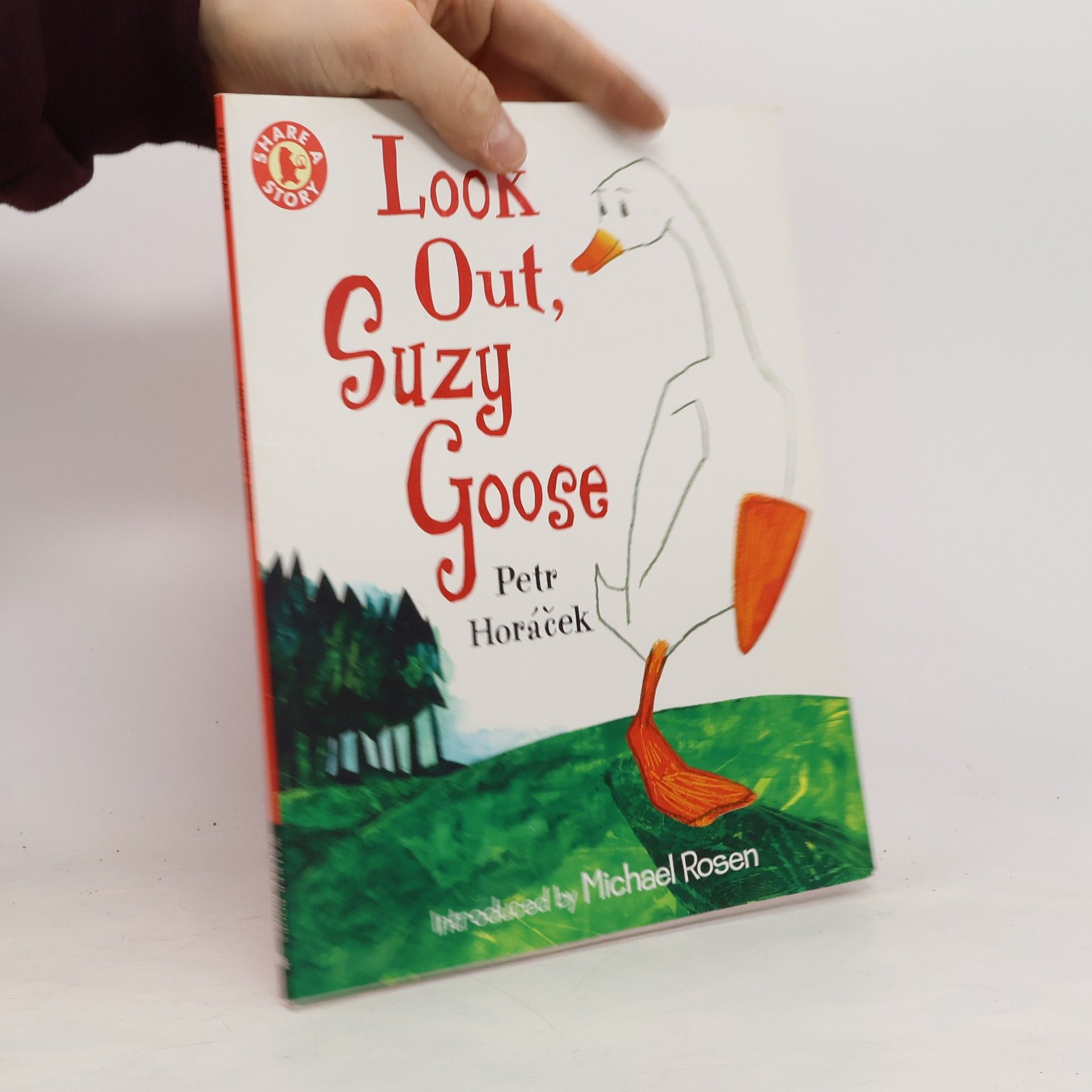 Petr Horáček Look Out, Suzy Goose