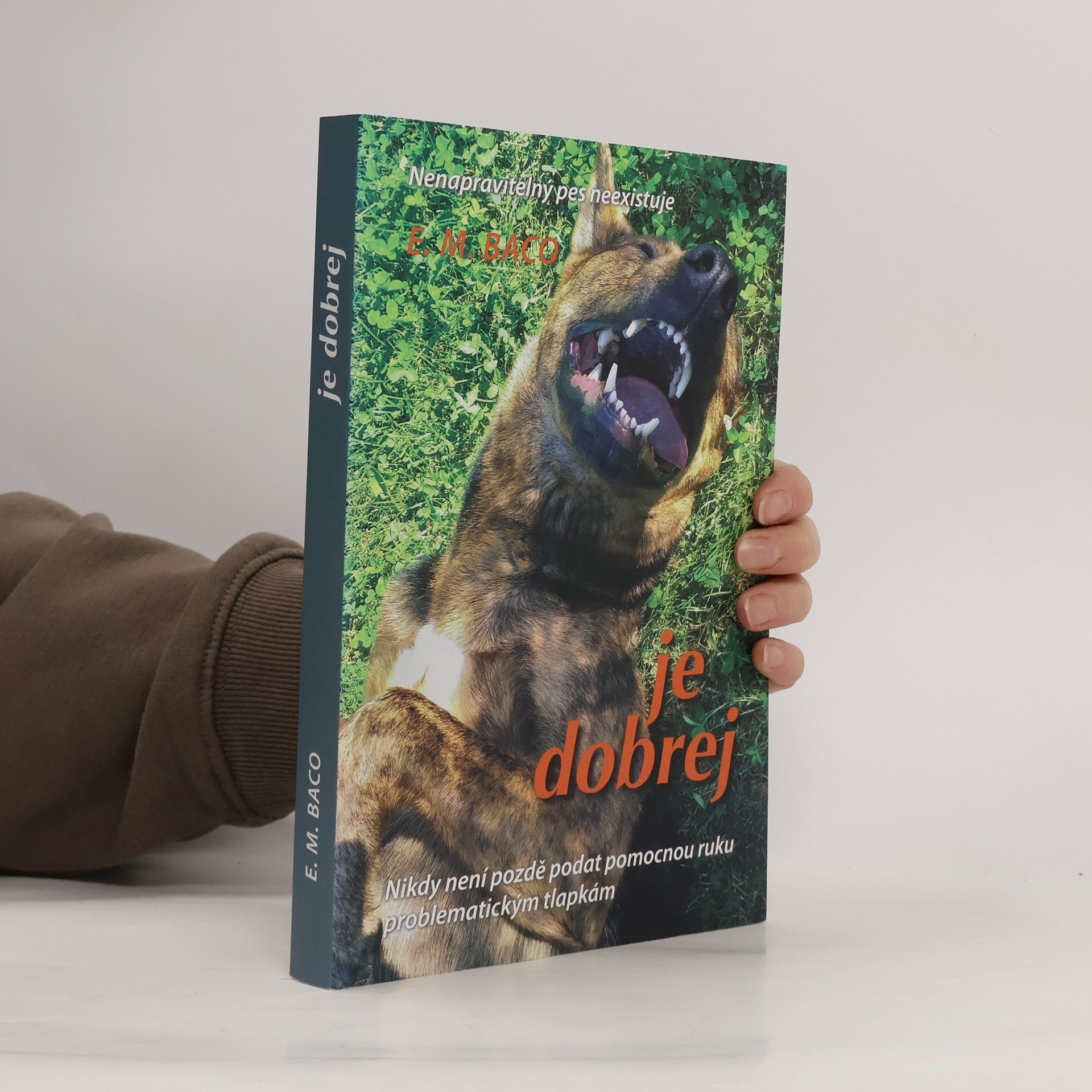 Je dobrej: Nikdy není pozdě podat pomocnou ruku problematickým tlapkám