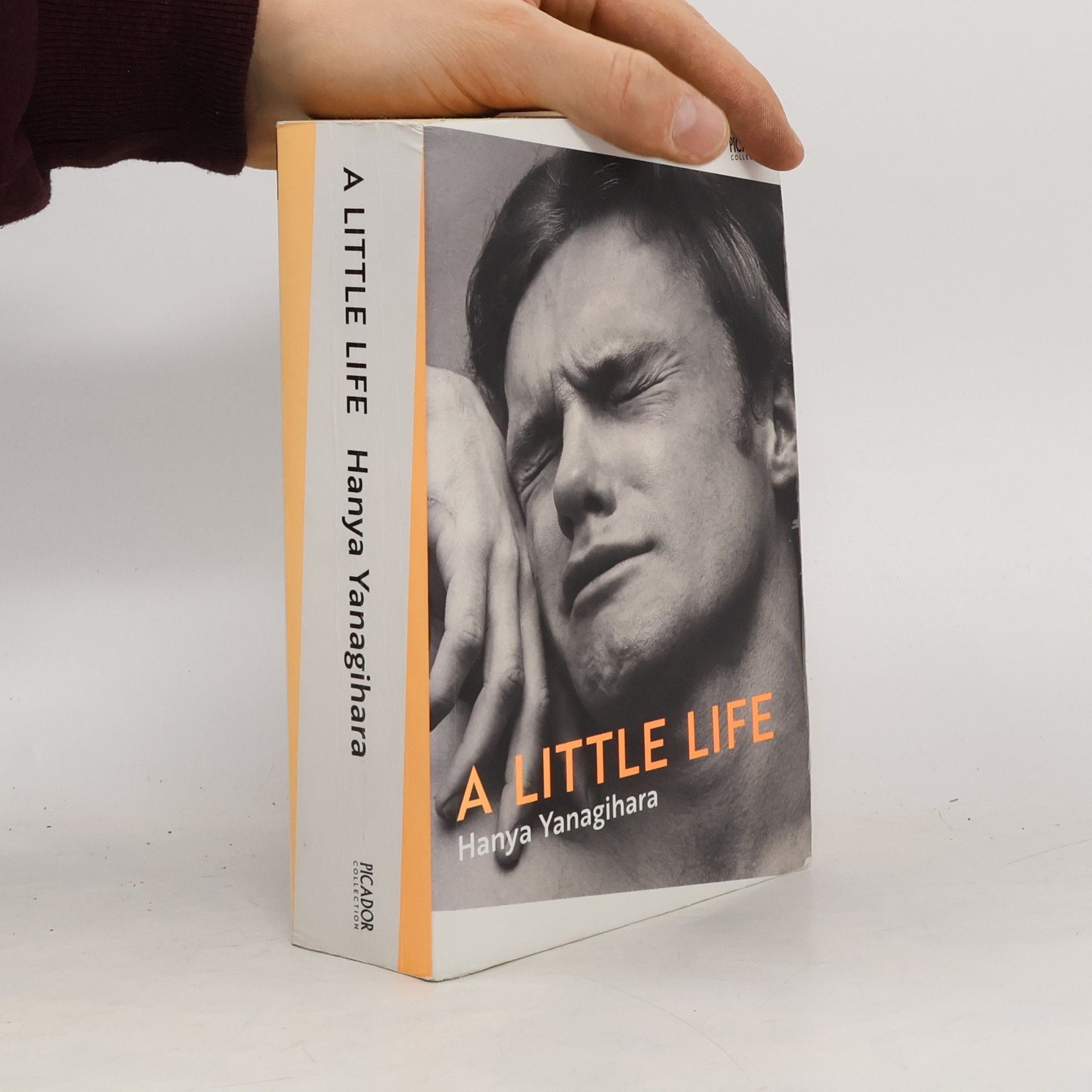 Hanya Yanagihara A Little Life