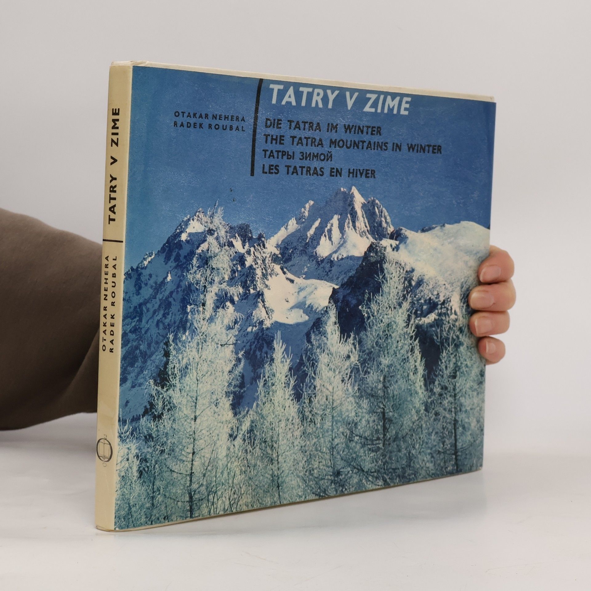 Tatry v zime