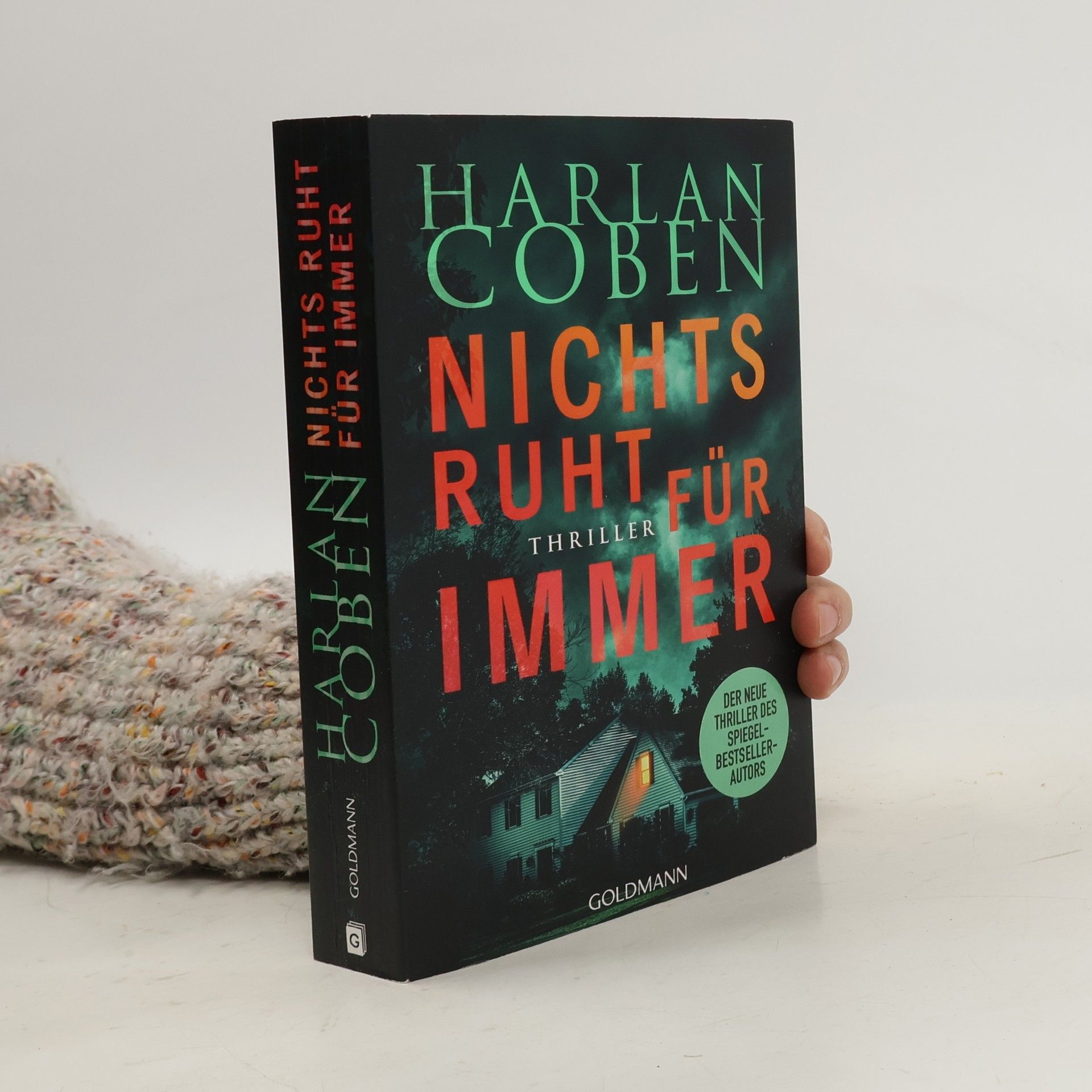 Nichts ruht für immer. Thriller