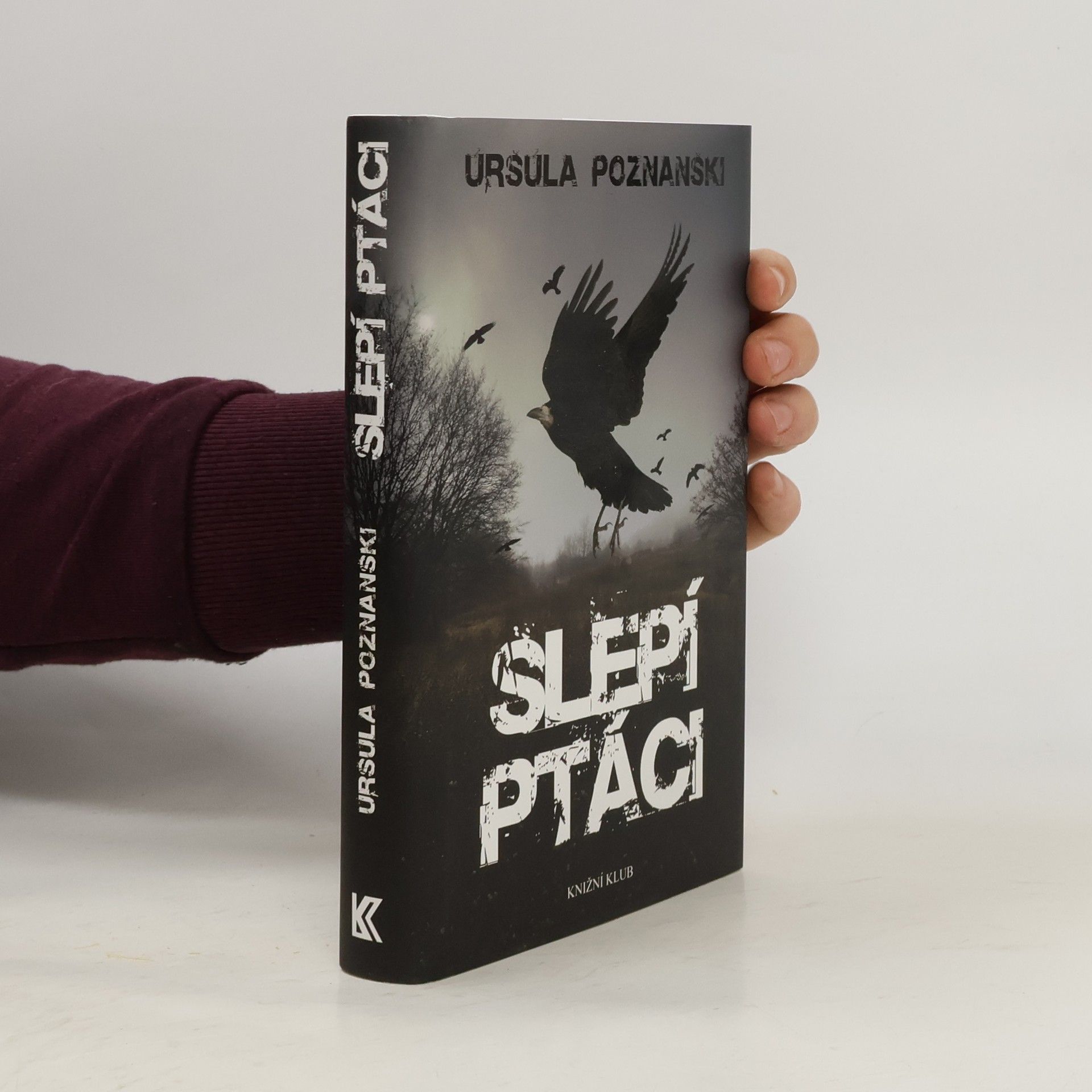 Ursula Poznanski Slepí ptáci