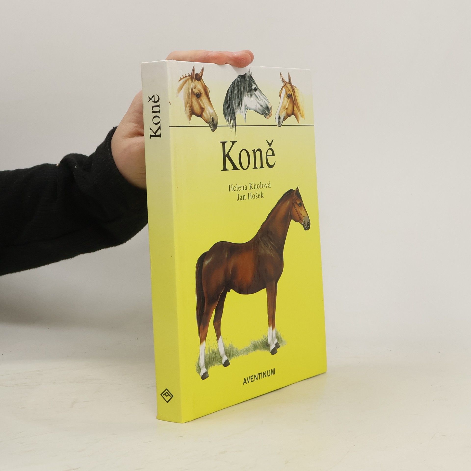 Helena Kholová Koně