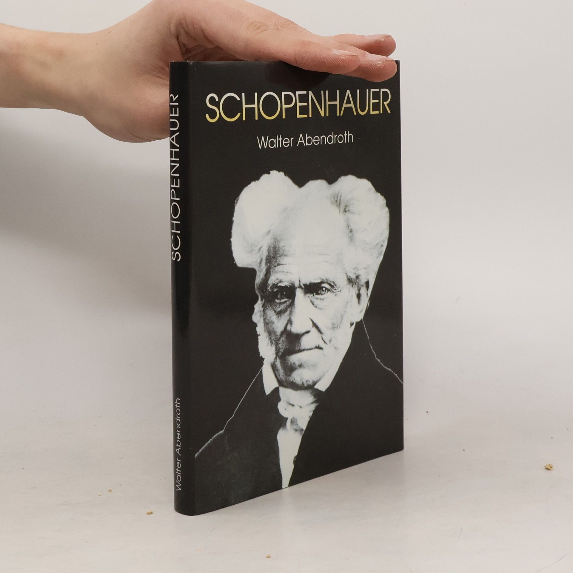 Walter Abendroth Schopenhauer