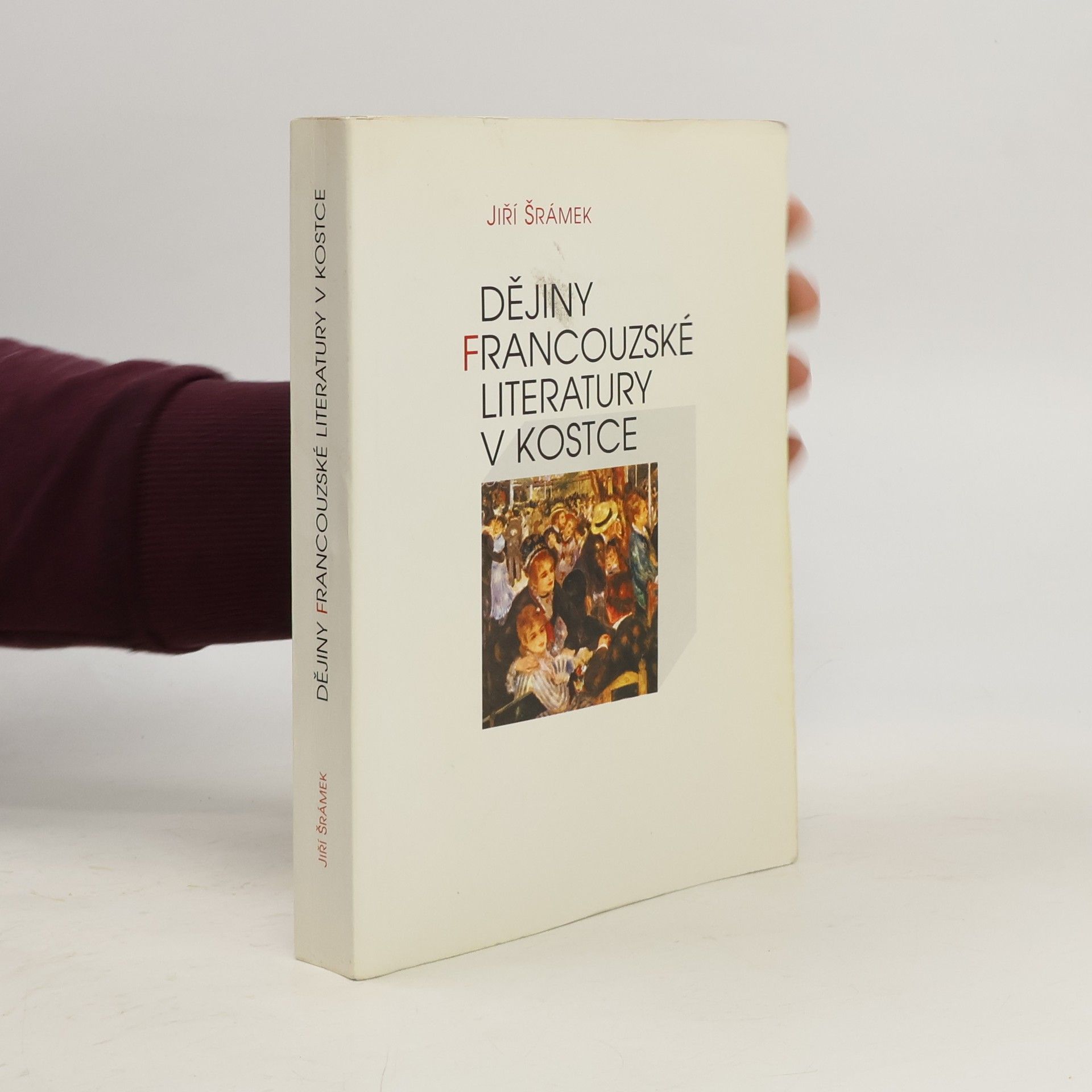 Dějiny francouzské literatury v kostce