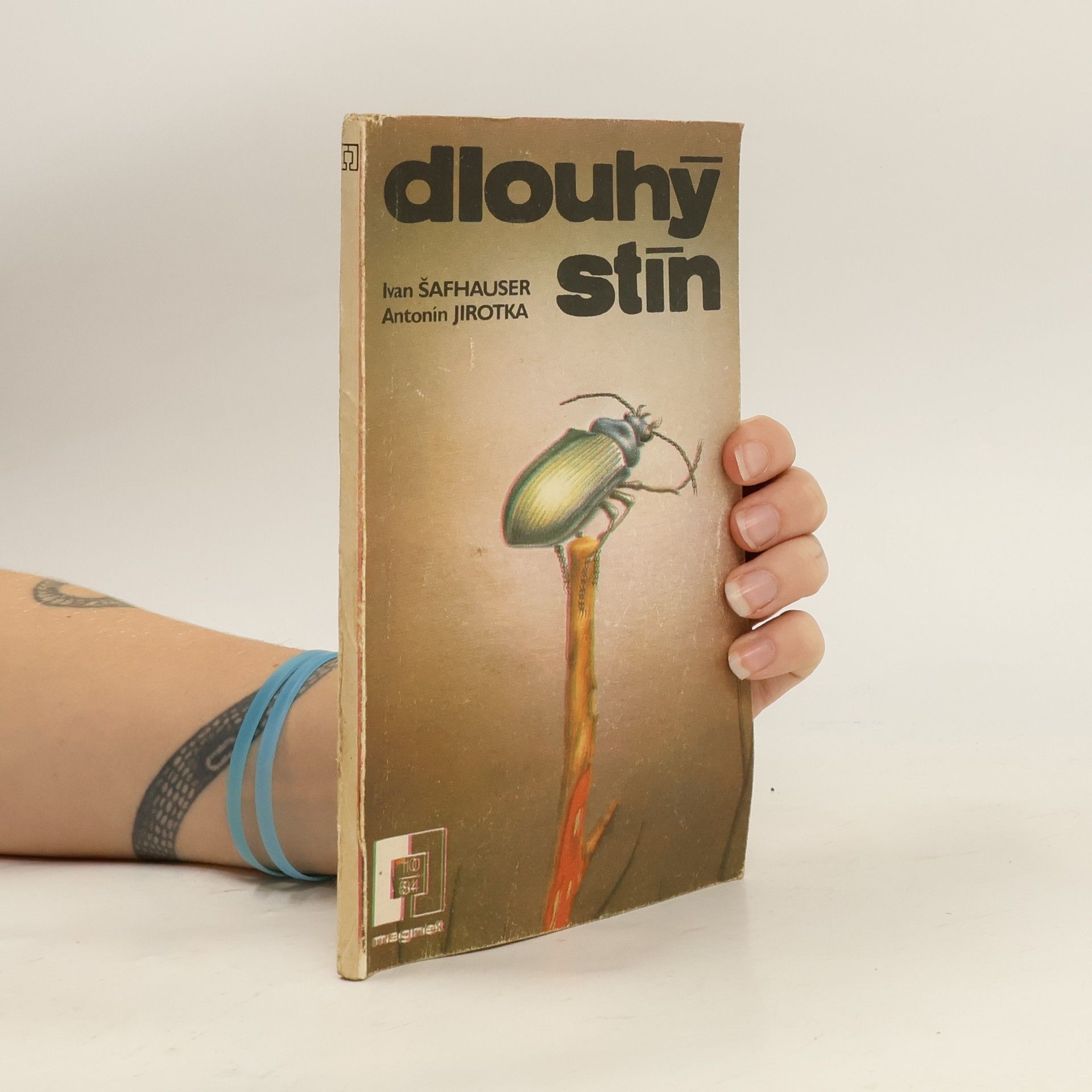 Ivan Šafhauser Dlouhý stín