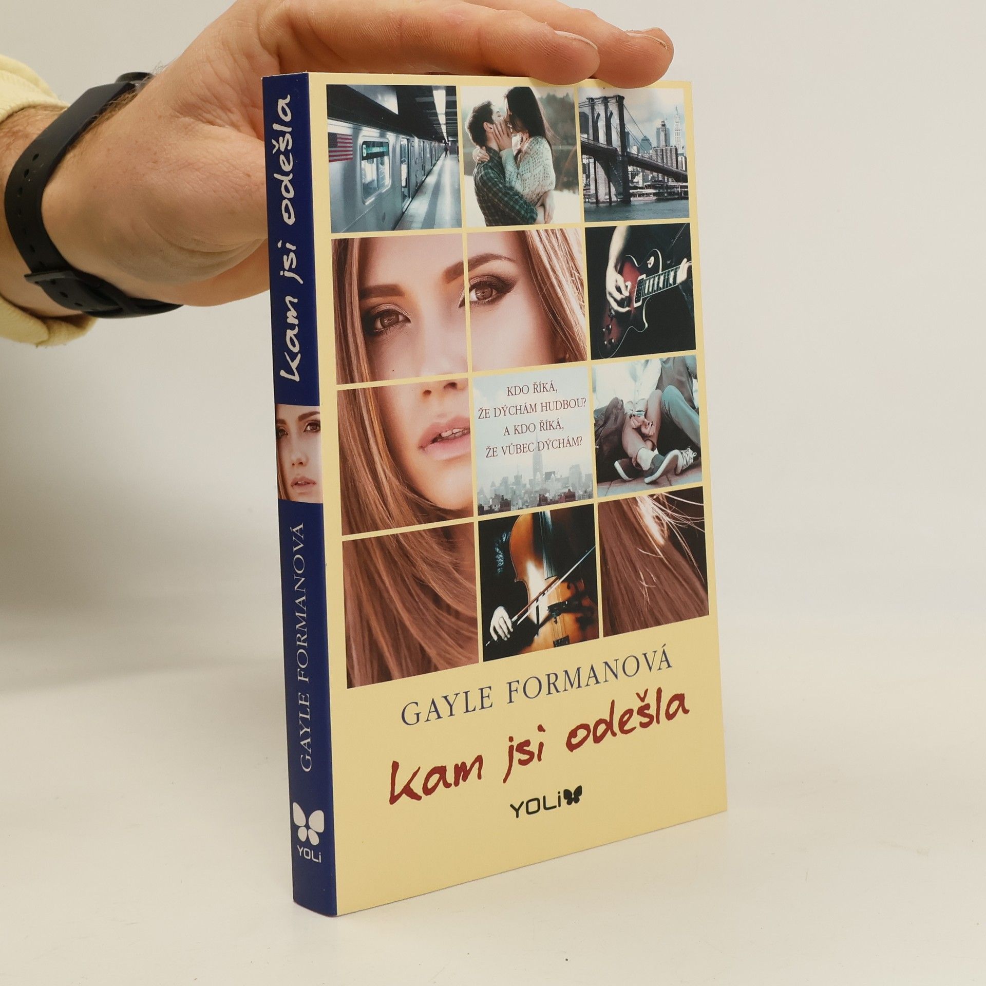 Gayle Forman Kam jsi odešla