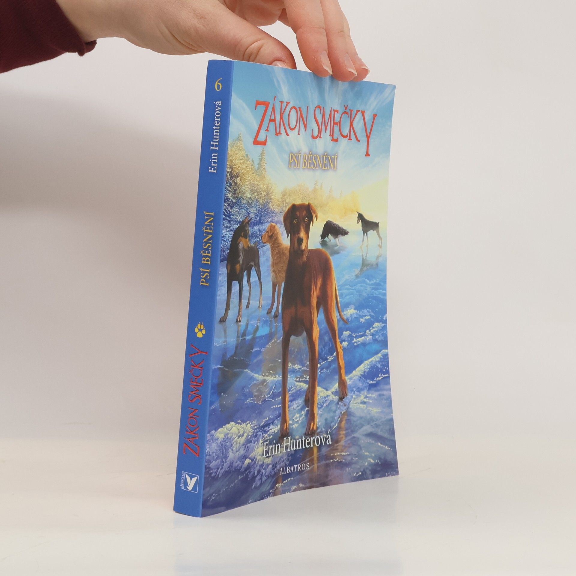 Psí běsnění. Zákon smečky