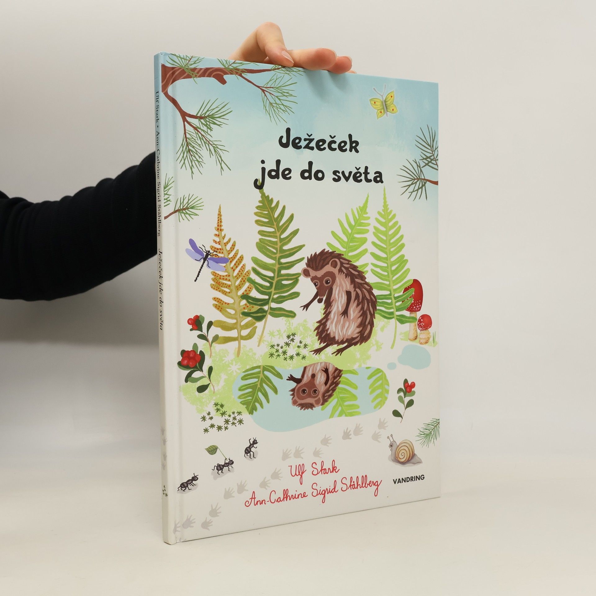 Ulf Stark Ježeček jde do světa